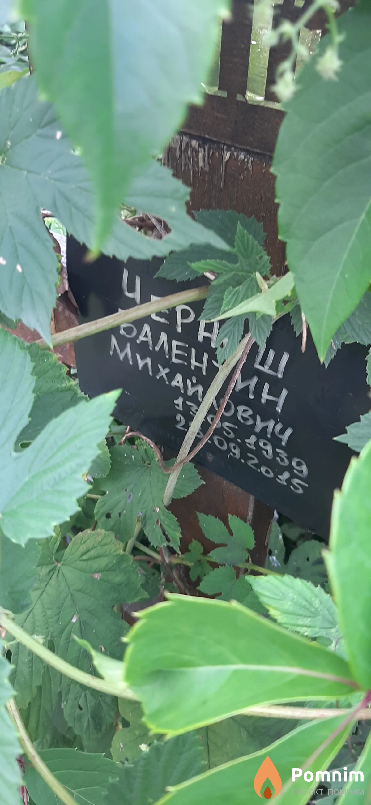 Черныш Валентин Михайлович