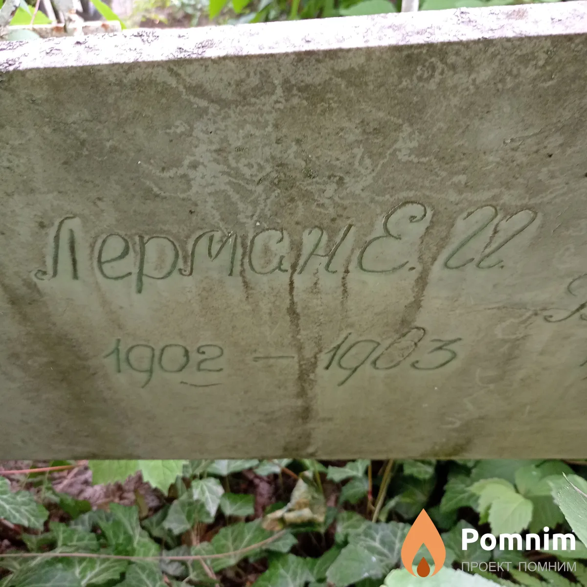 Лерман Е И