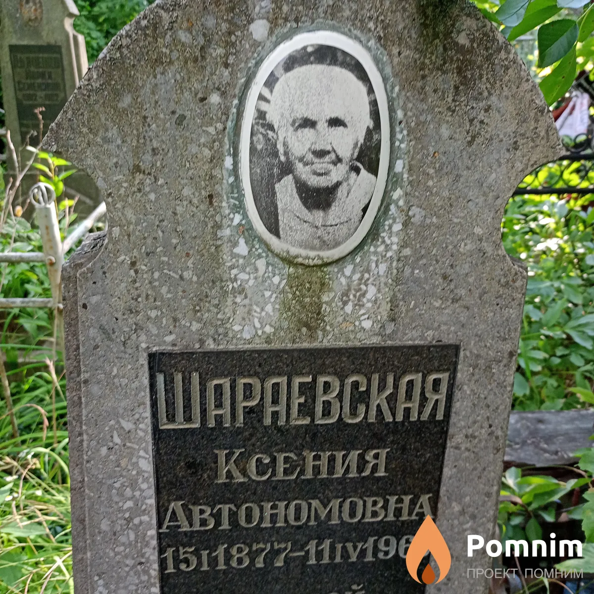 Шараевская Ксения Автономовна