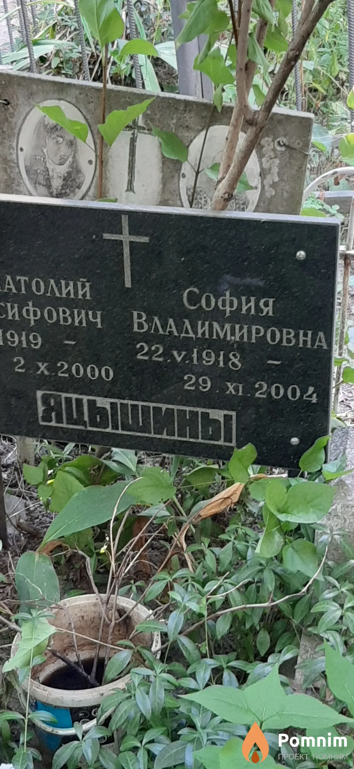 Яцышина София Владимировна