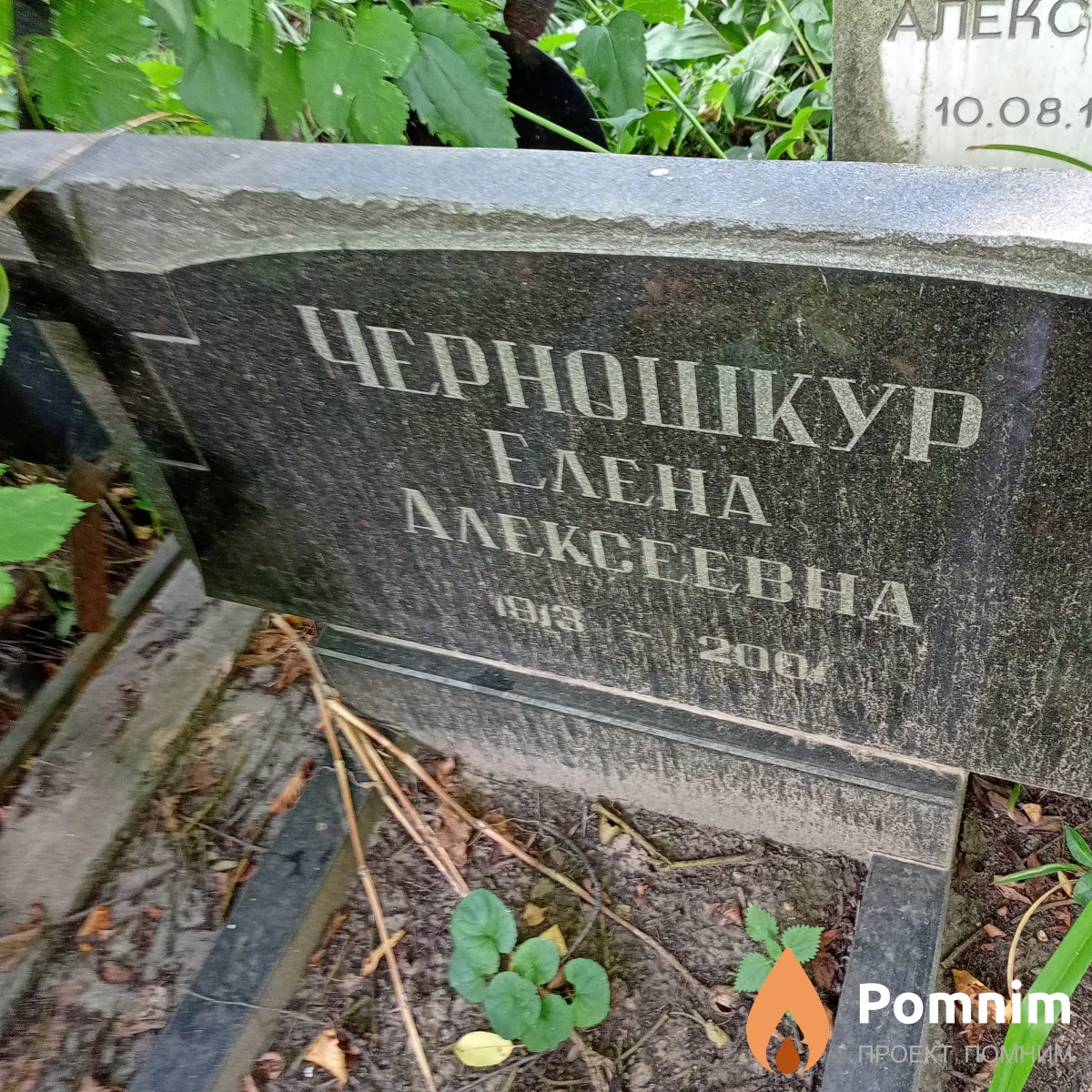 Черношкур Елена Алексеевна