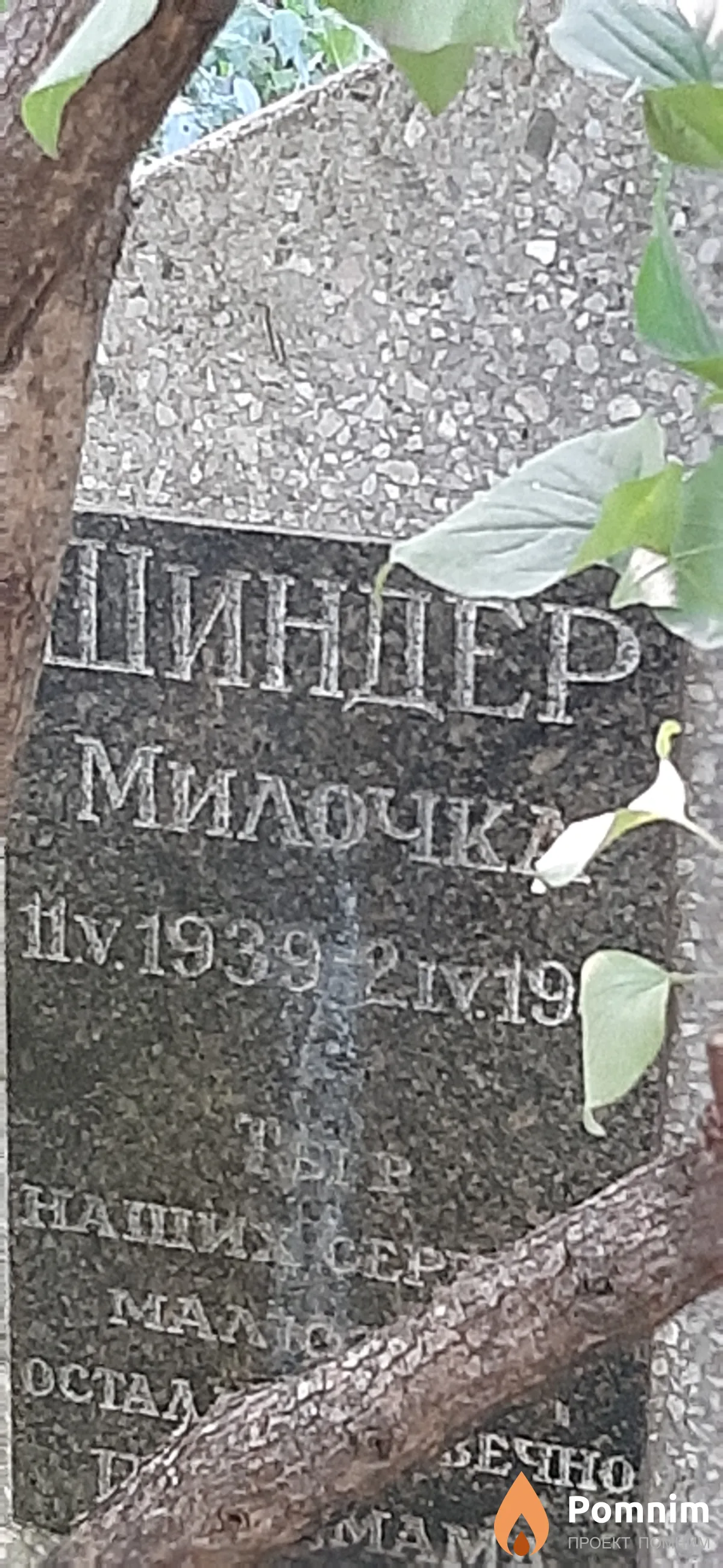 Шиндер Милочка