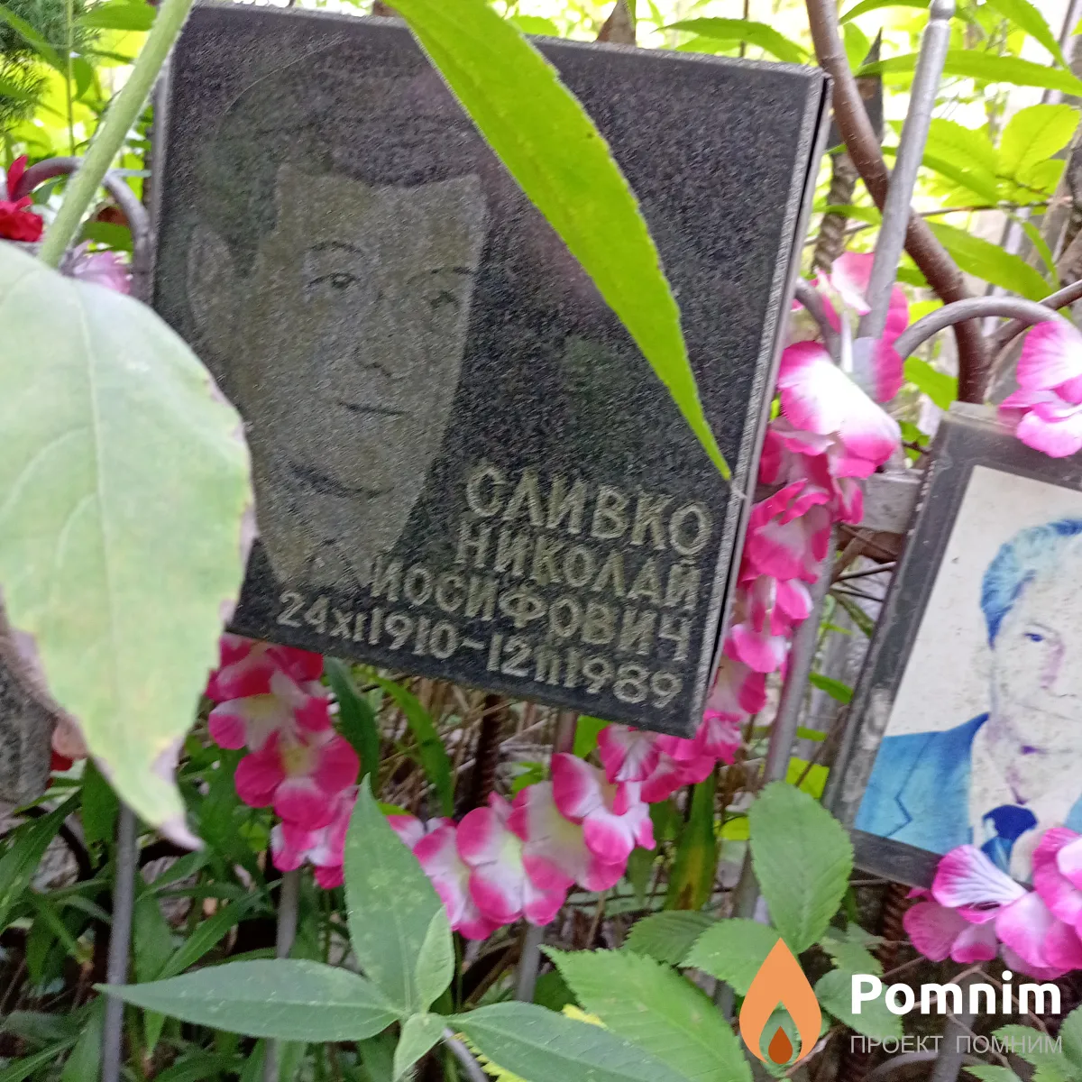 Сливко Николай Иосифович