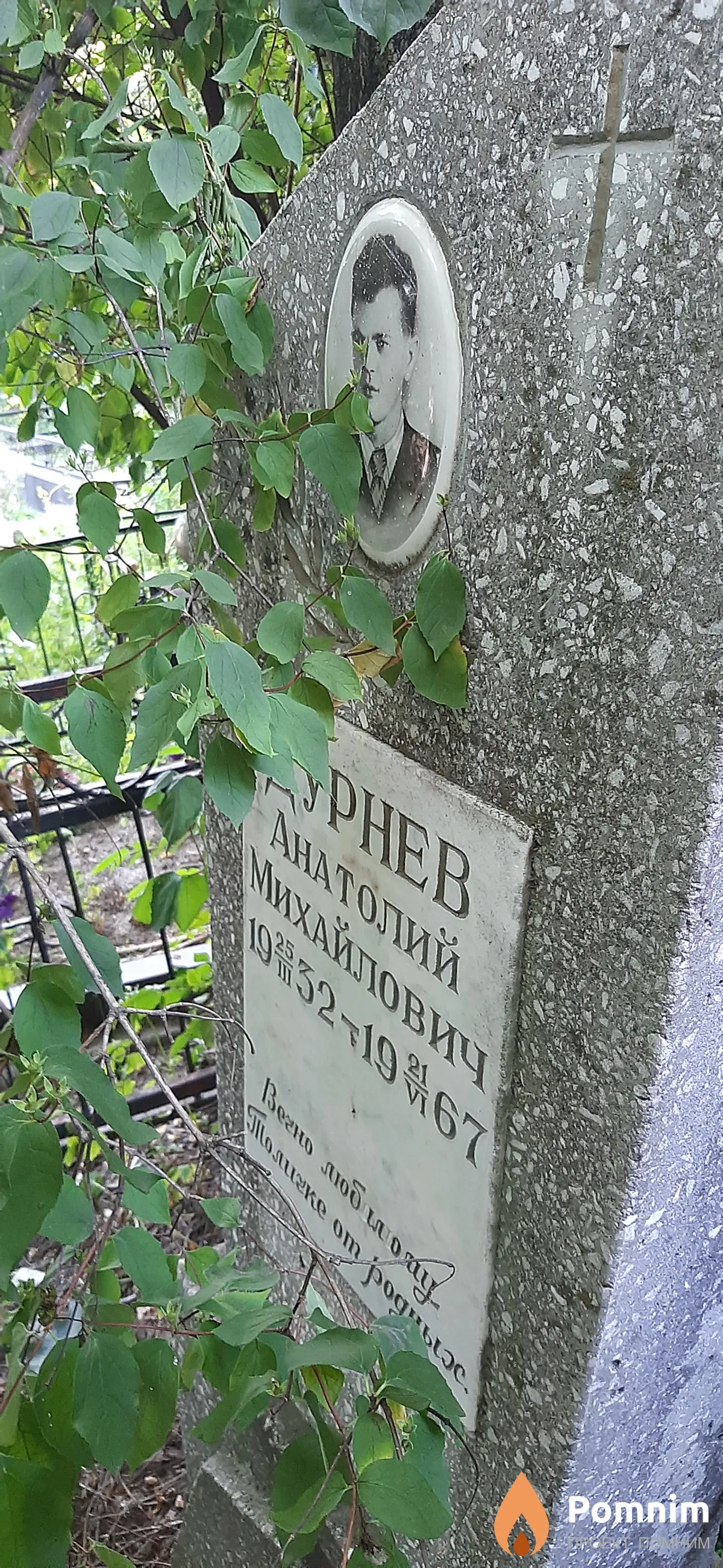 Дурнев Анатолий Михайлович