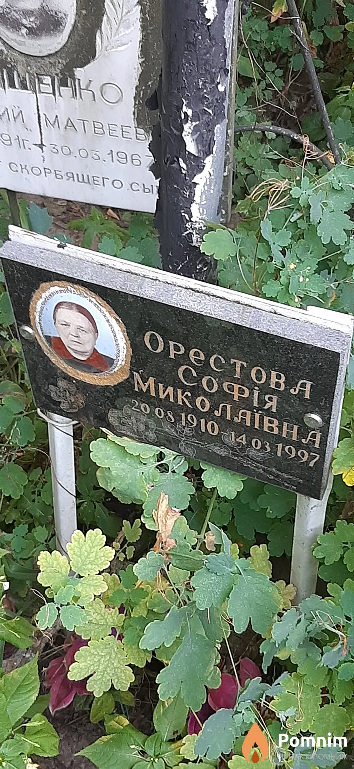 Орестова София Николаевна
