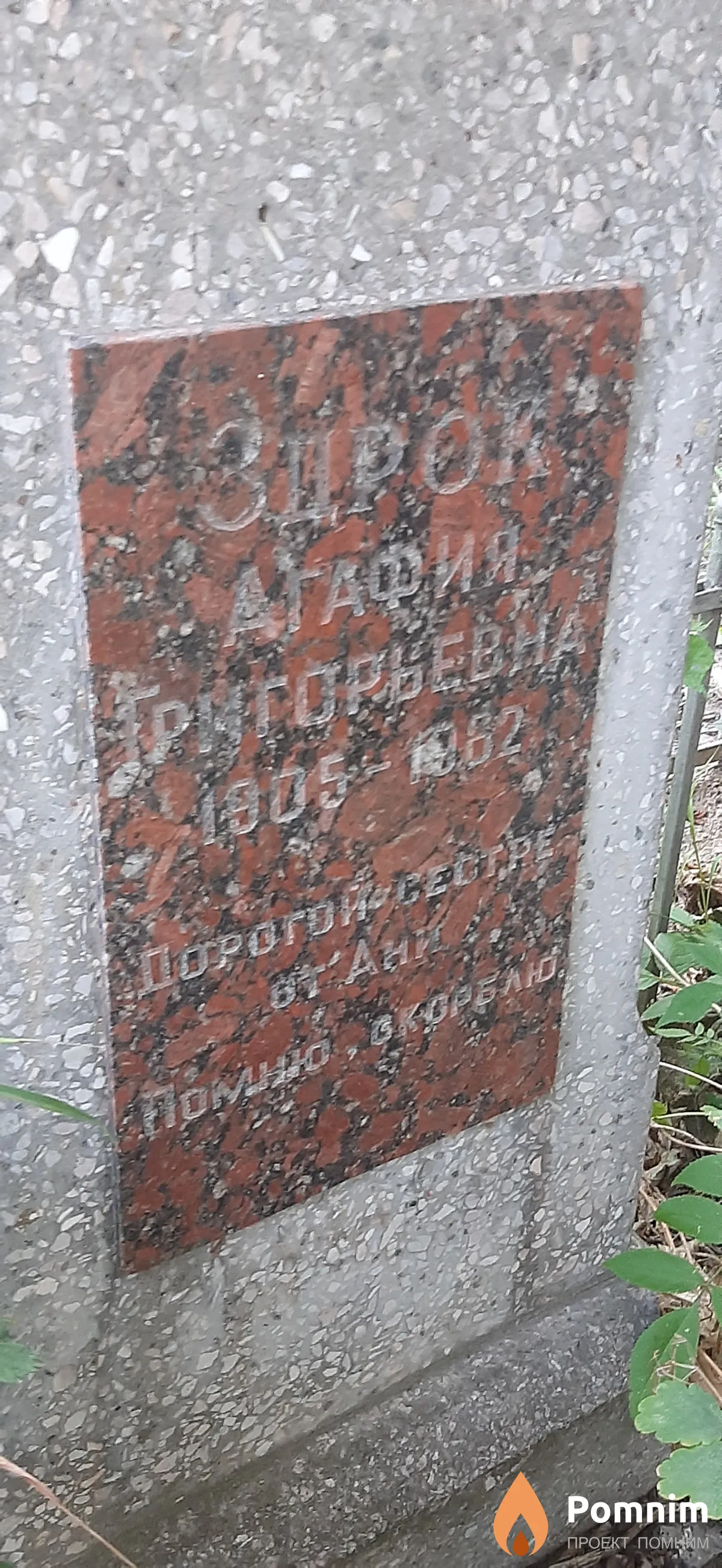 Здрок Агафия Григорьевна