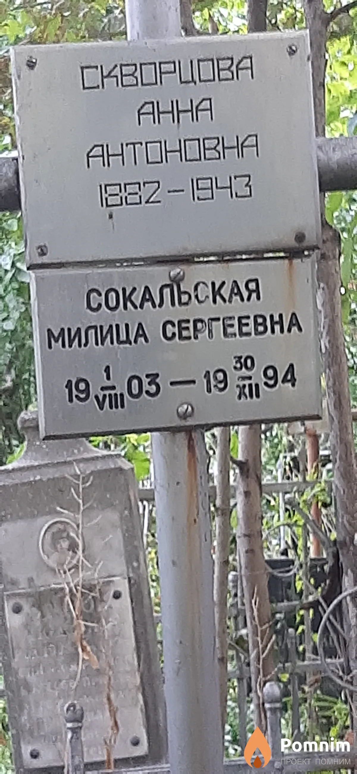 Сокальская Милица Сергеевна