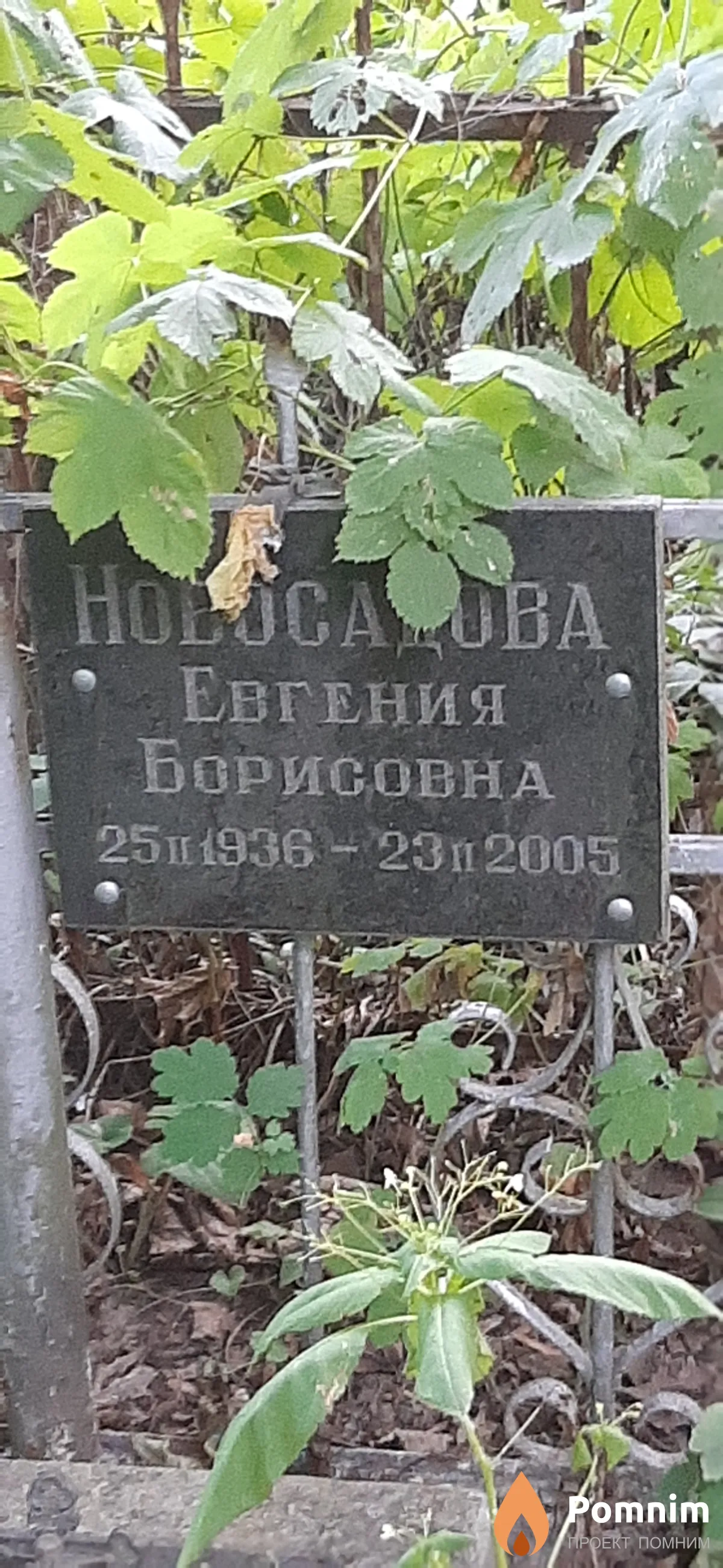 Новосадова Евгения Брисовна