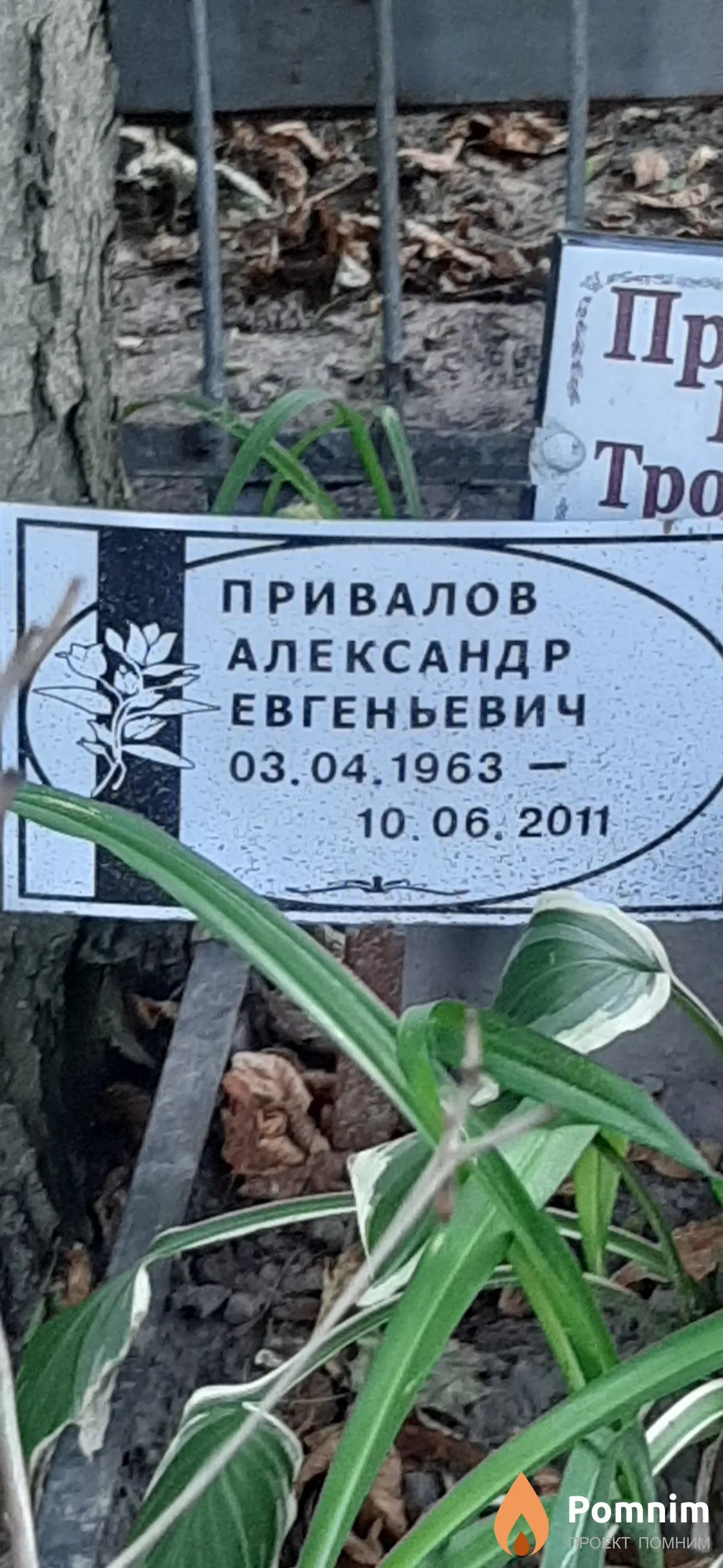 Привалов Александр Евгеньевич