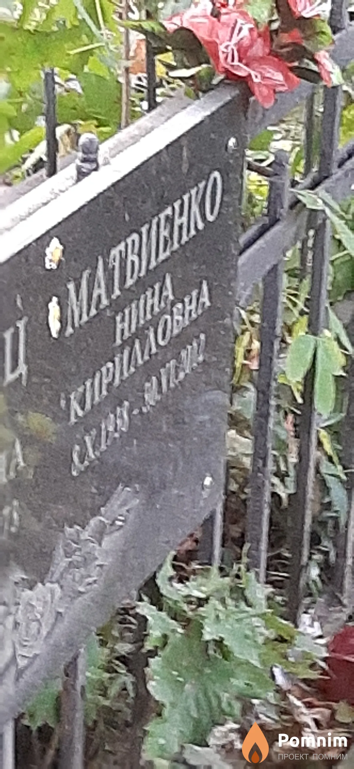 Матвиенко Нина Кирилловна