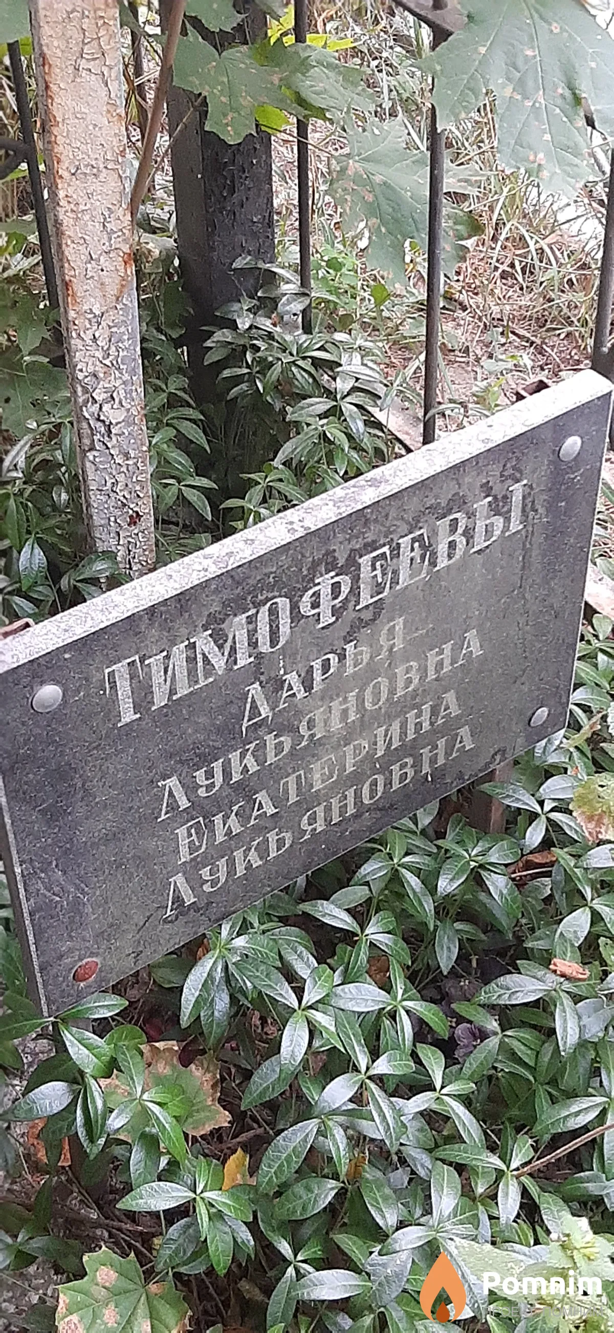 Тимофеева Дарья Лукьяновна