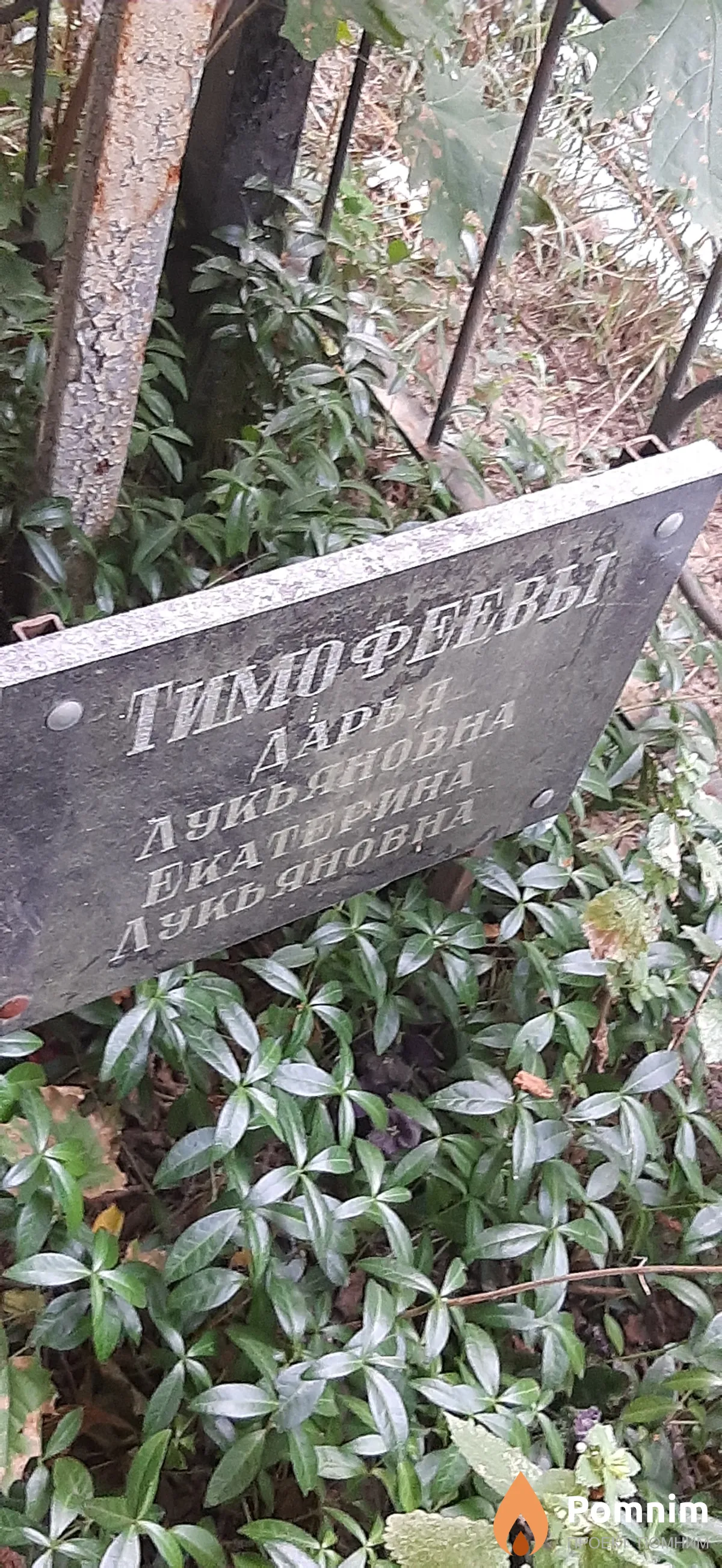 Тимофеева Екатерина Лукьяновна