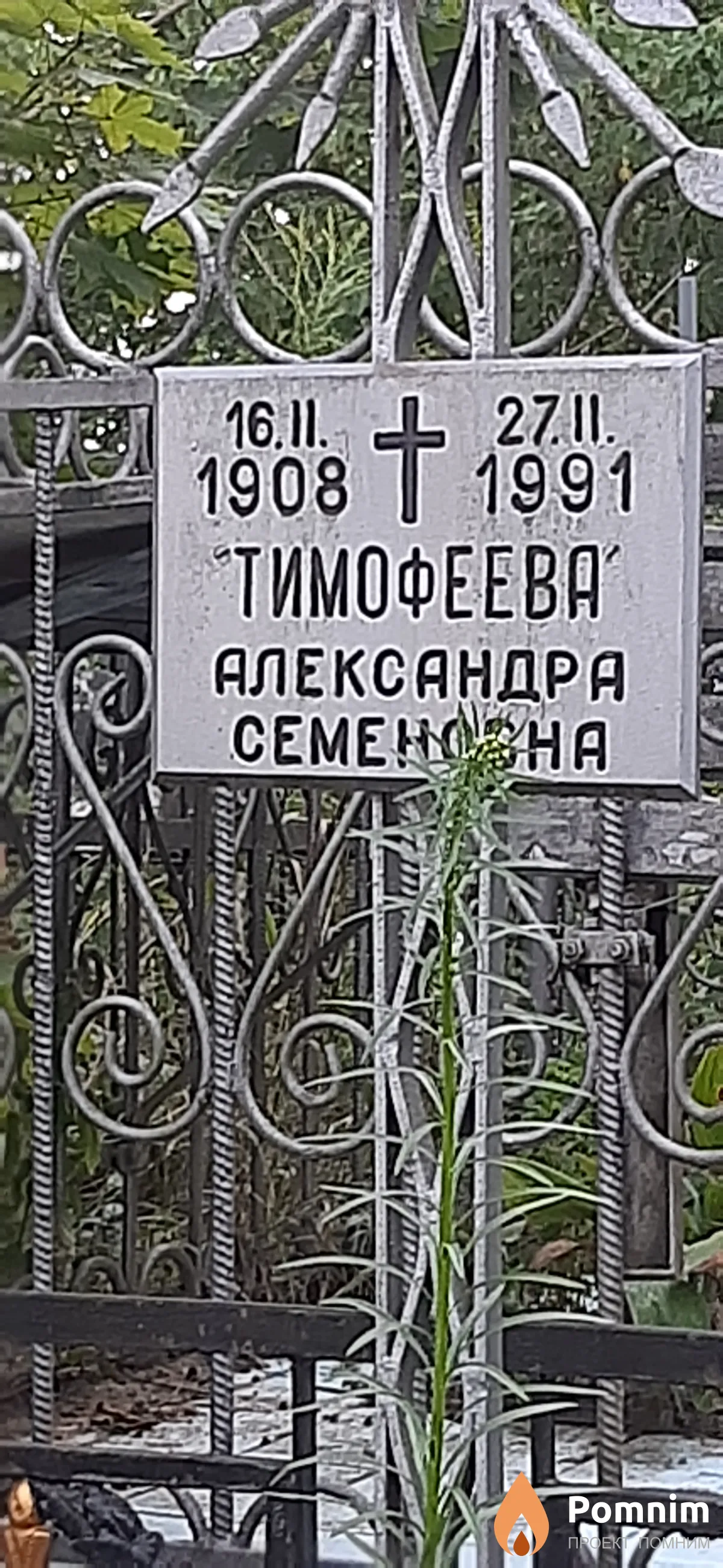 Тимофеева Александра Семеновна