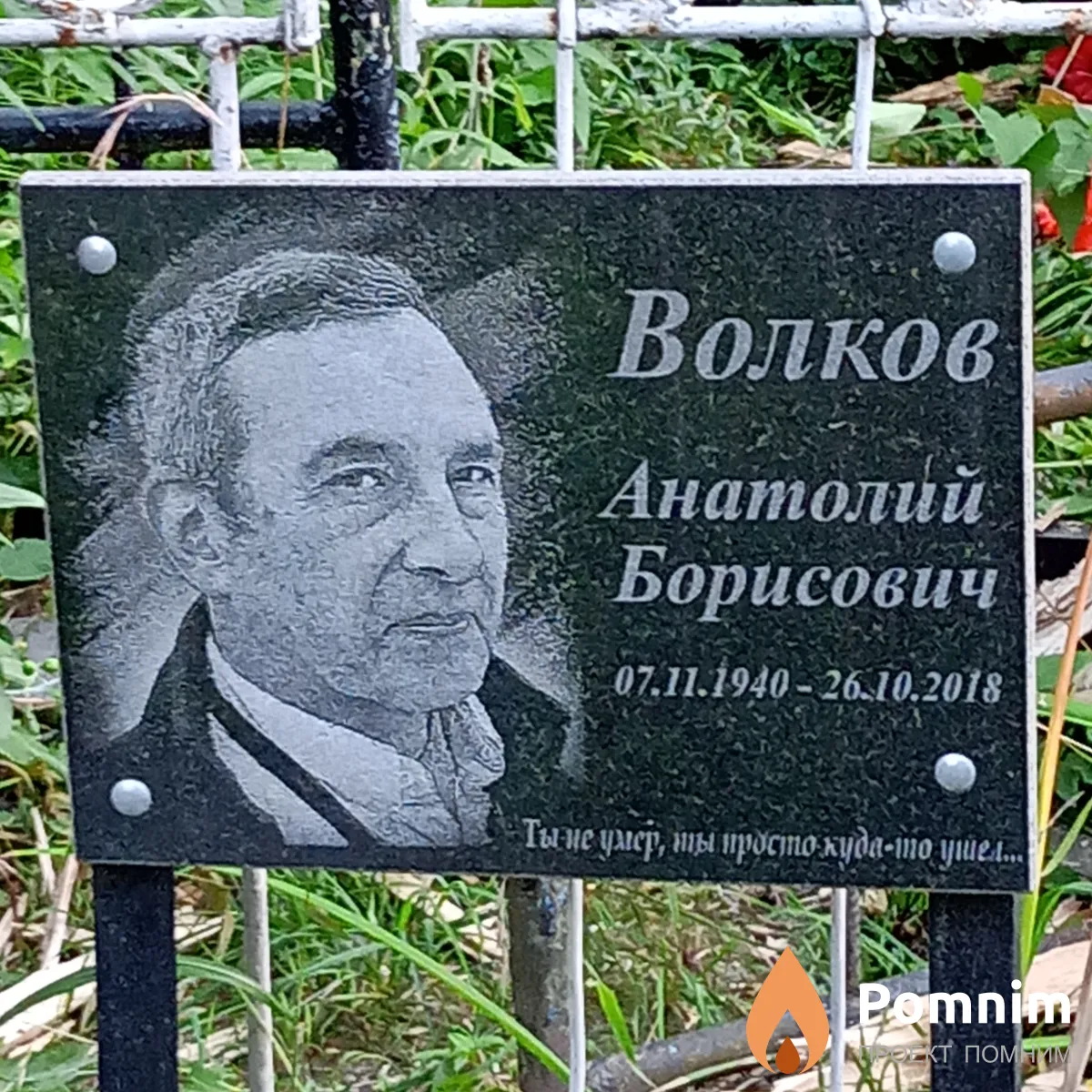 Волков Анатолий Борисович