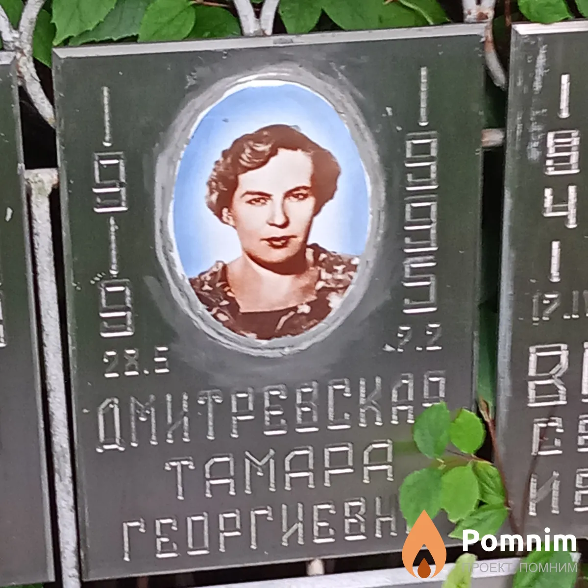 Дмитриевская Тамара Георгиевна