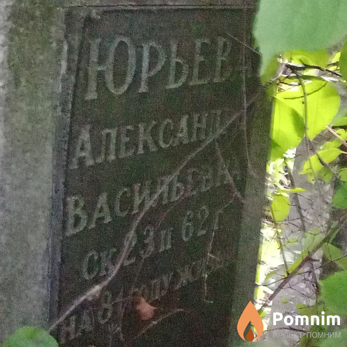 Юрьева Александра Васильевна