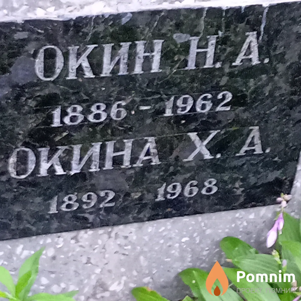 Окин Н А
