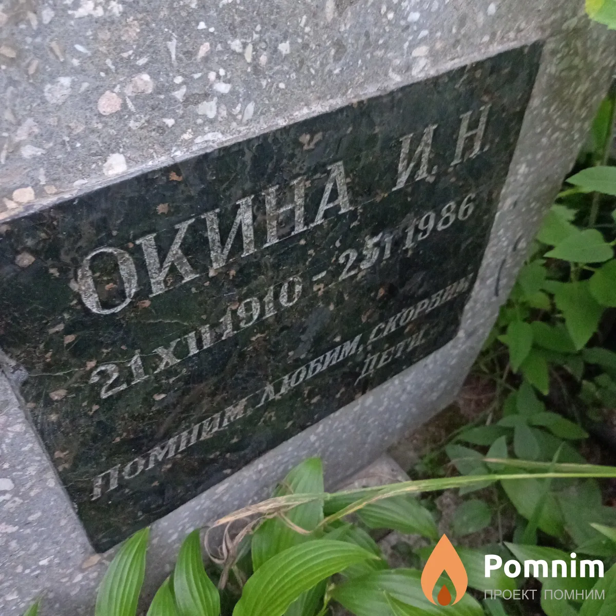 Окина А И