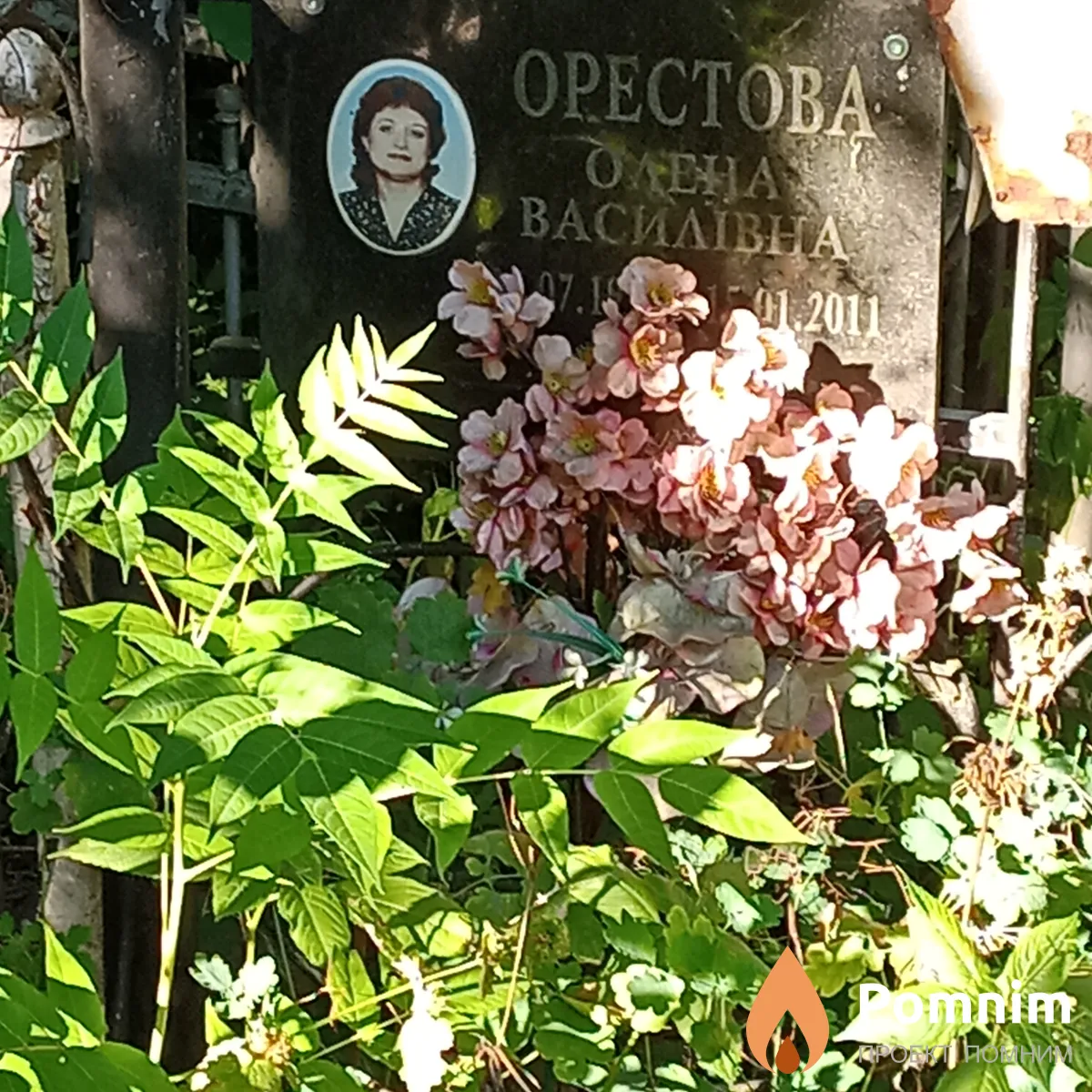 Орестова Олена Василівна
