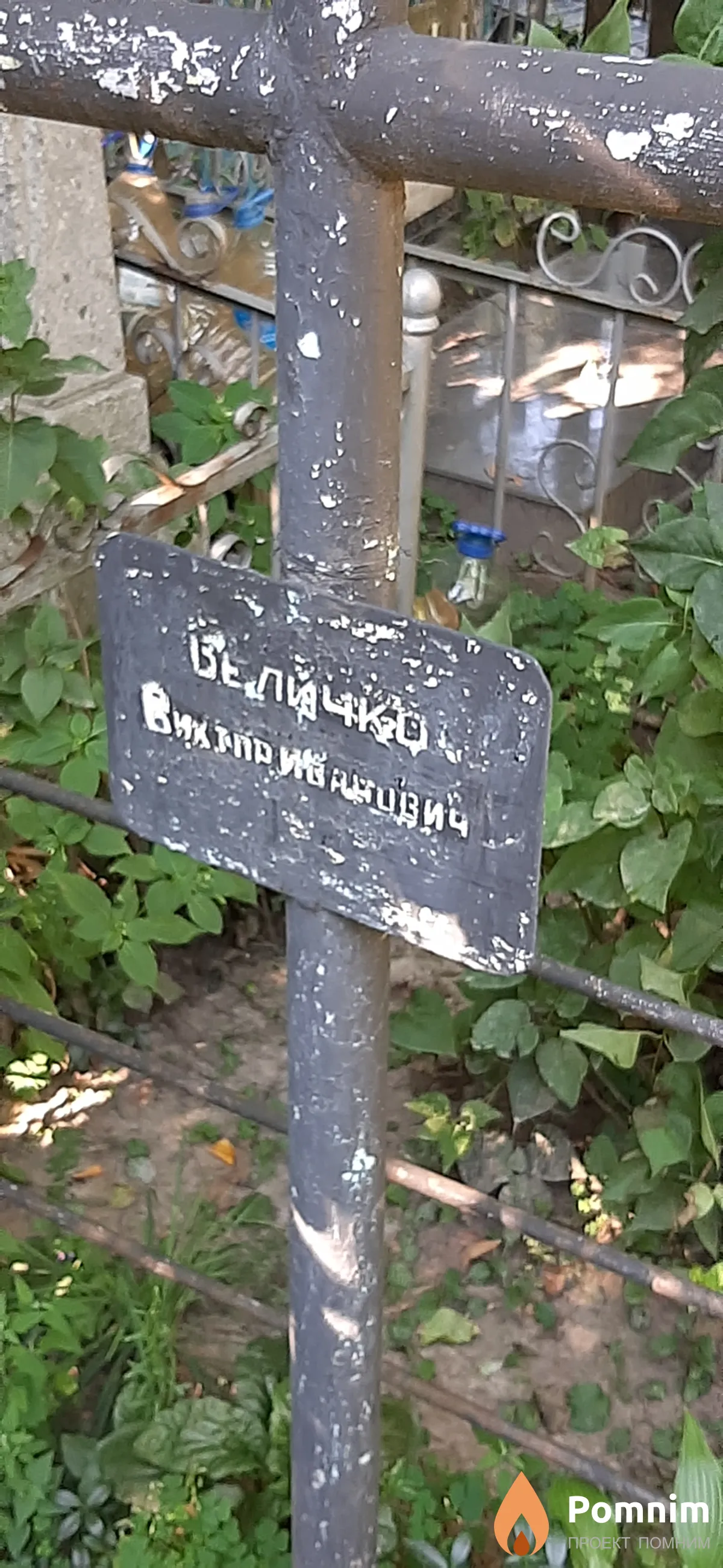 Величко Виктор Иванович