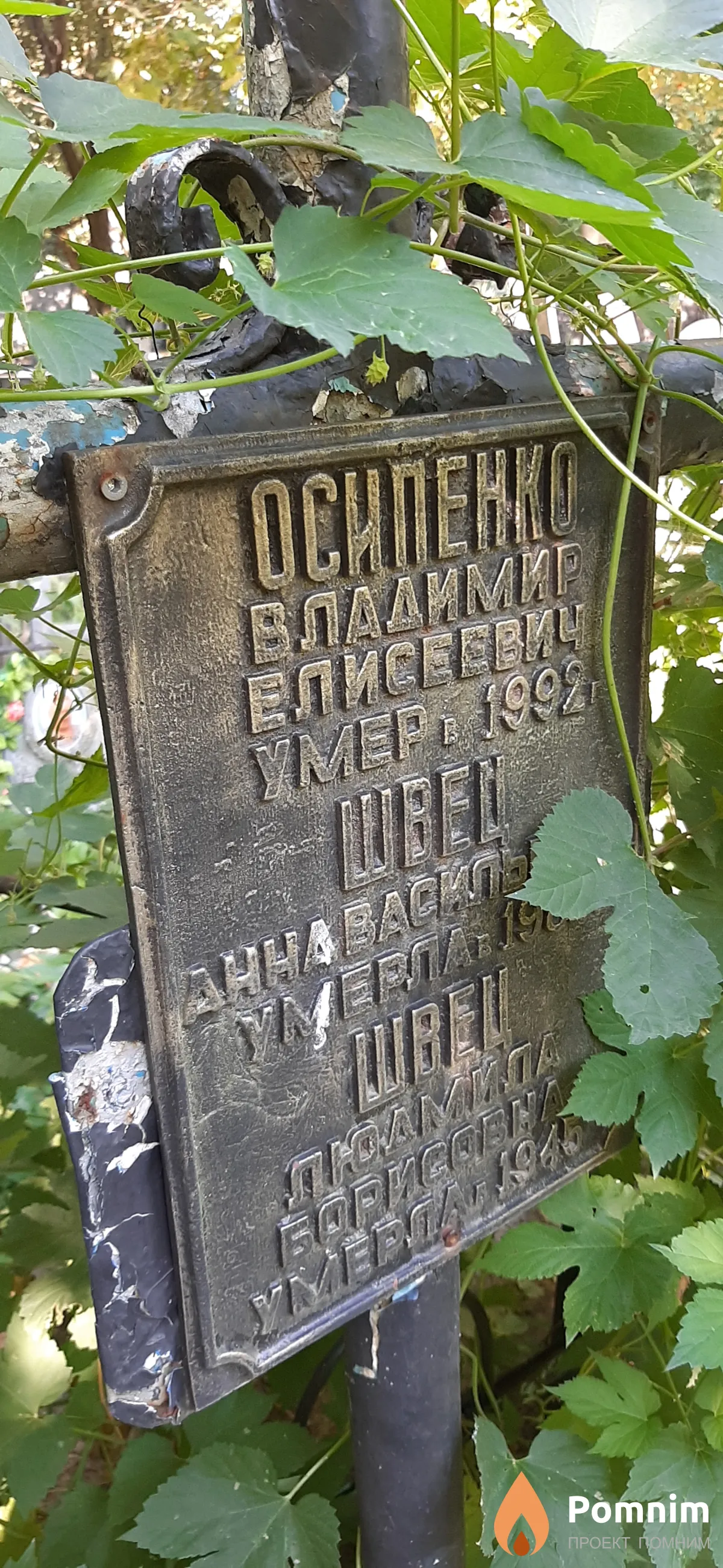 Осипенко Владимир Елисеевич
