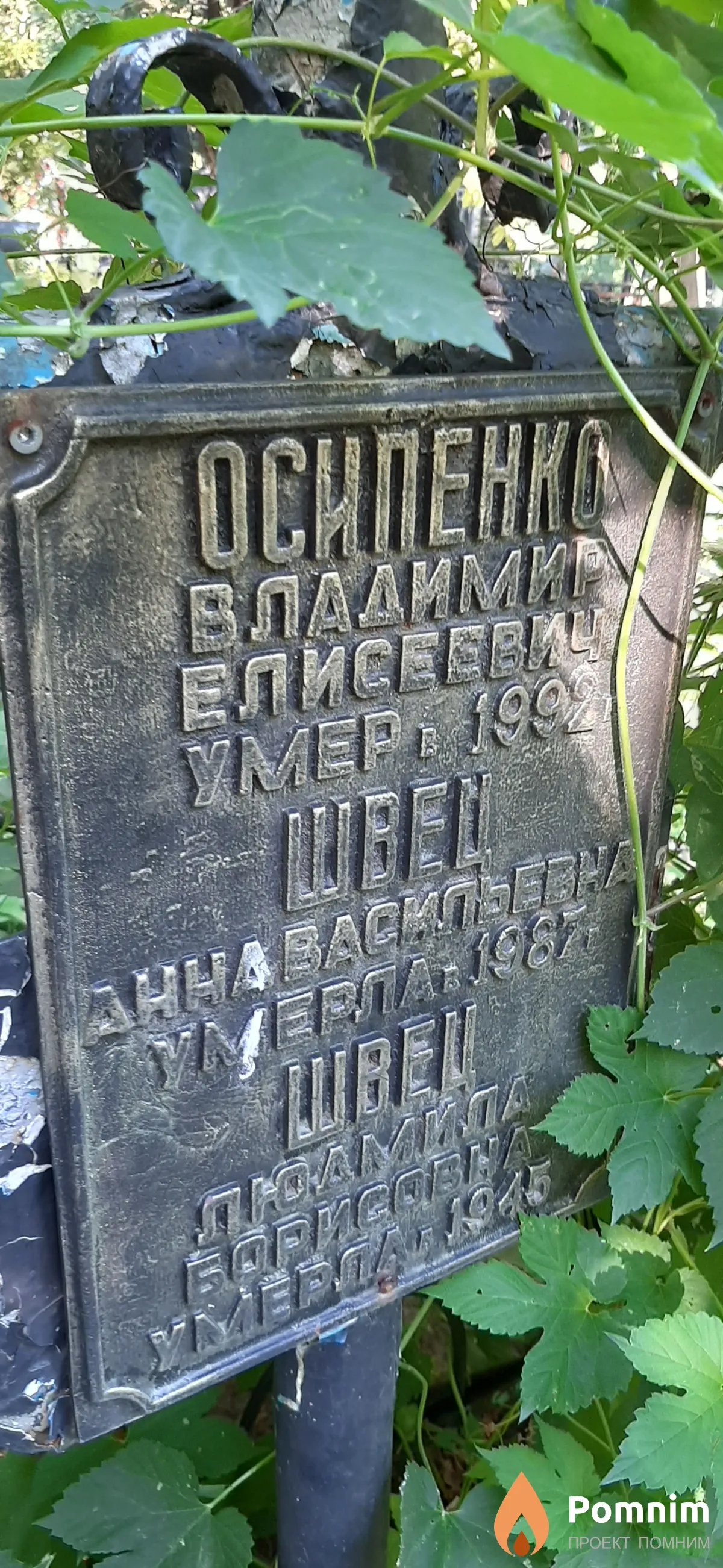 Швец Анна Васильевна