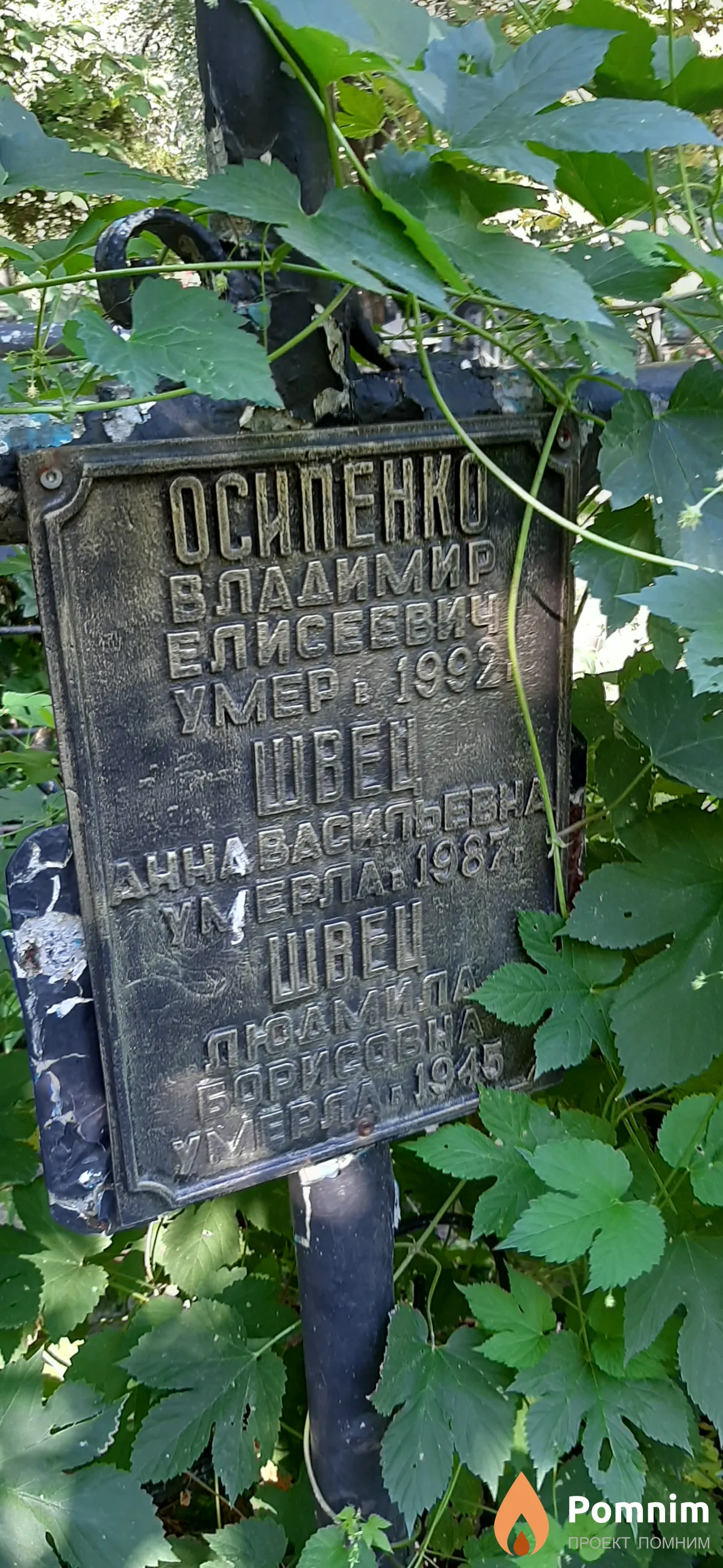 Швец Людмила Борисовна