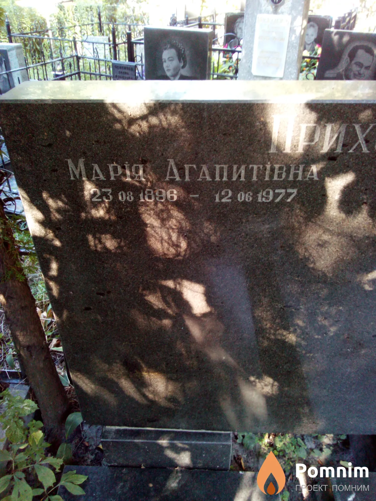 Приходько Мария Агапитовна