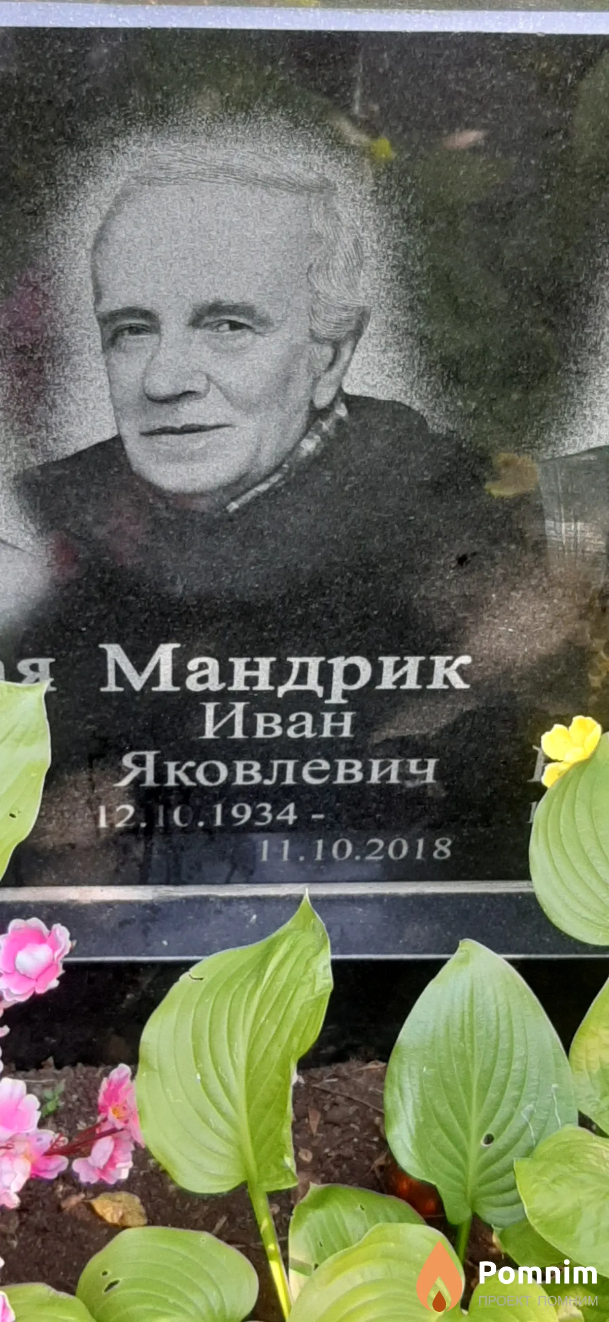 Мандрик Иван Яковлевич