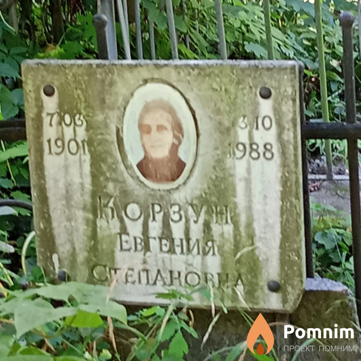 Корзун Евгения Степановна