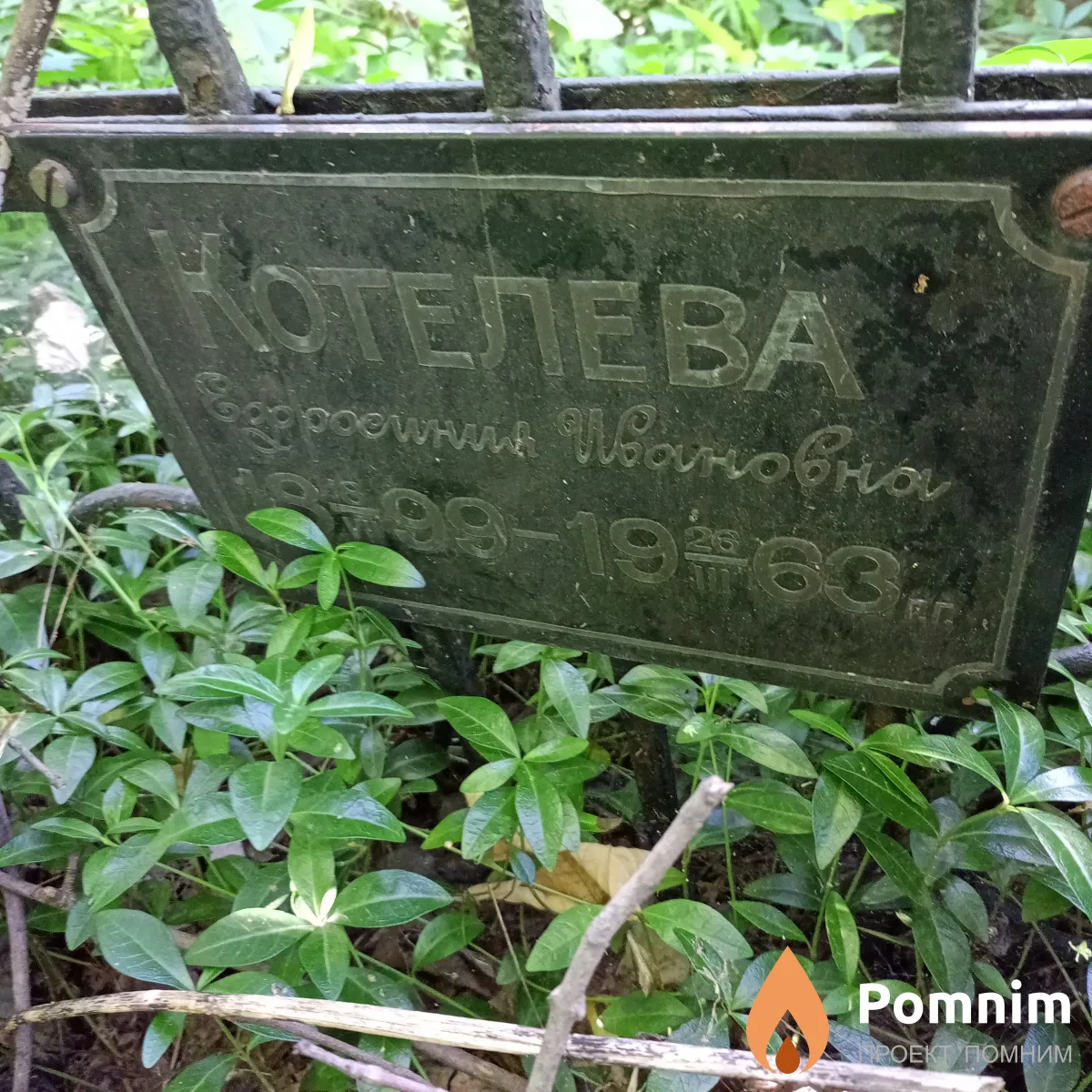 Котелева Ефосиния Ивановна