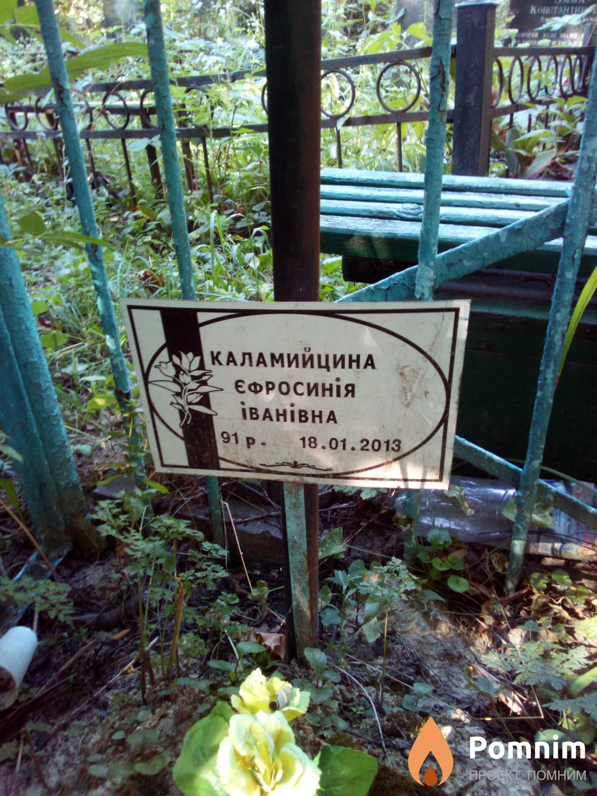 Каламийцина Ефросиния Ивановна