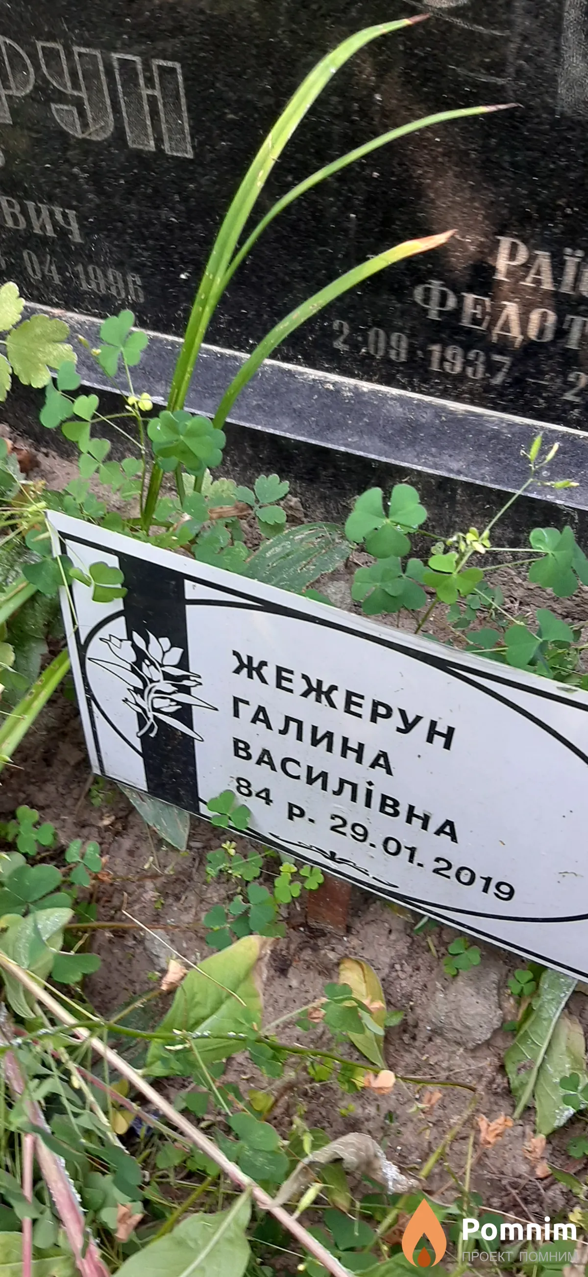 Жежерун Галина Васильевна