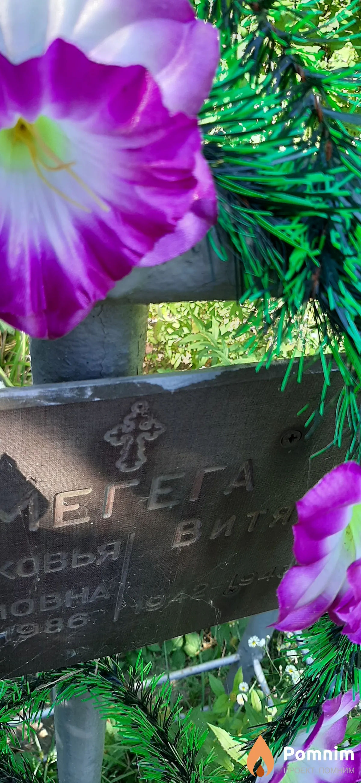 Мегега Витя