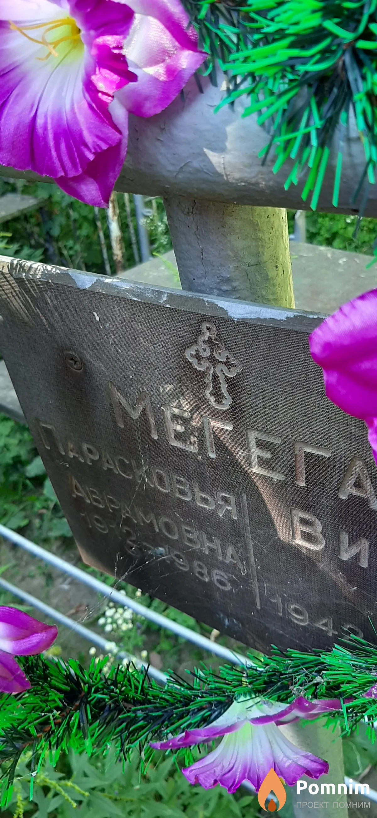 Мегега Парасковья Аврамовна