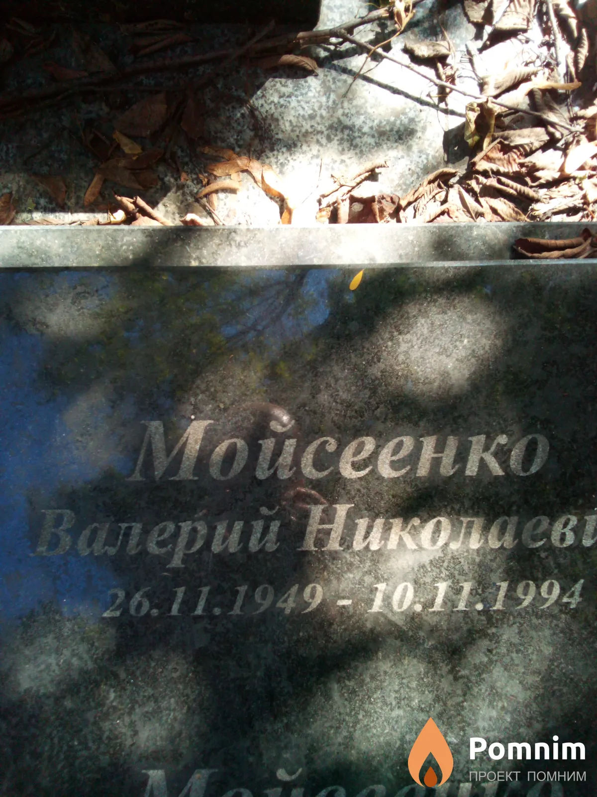 Моисеенко Валерий Николаевич