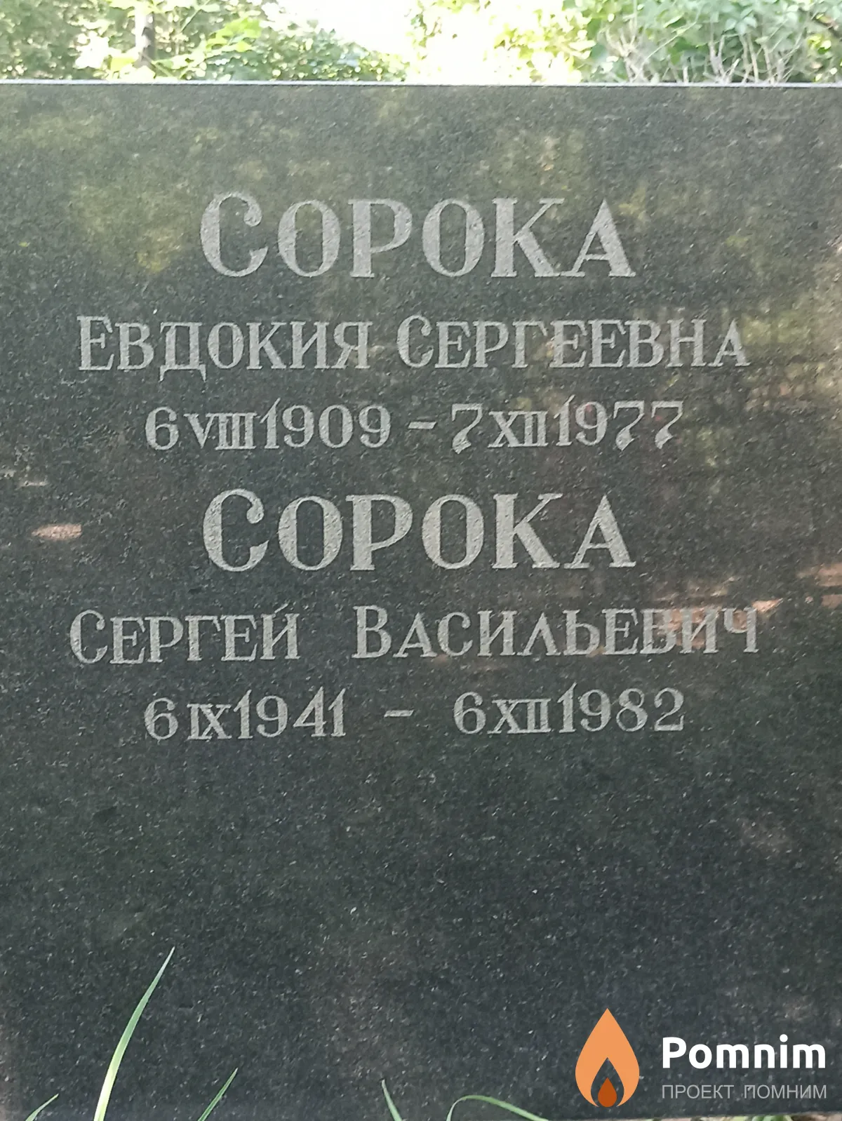 Сорока Евдокия Сергеевна