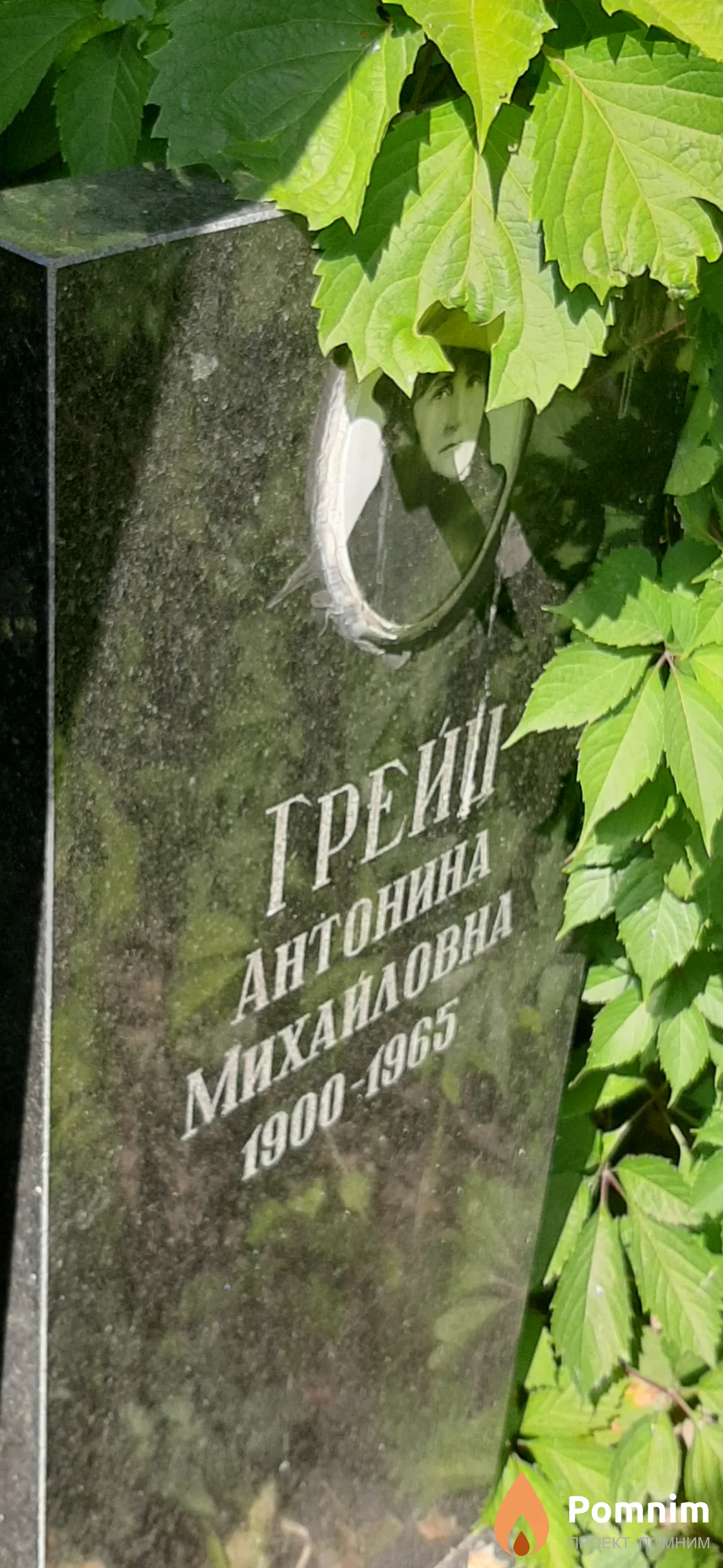 Грейц Антонина Михайловна