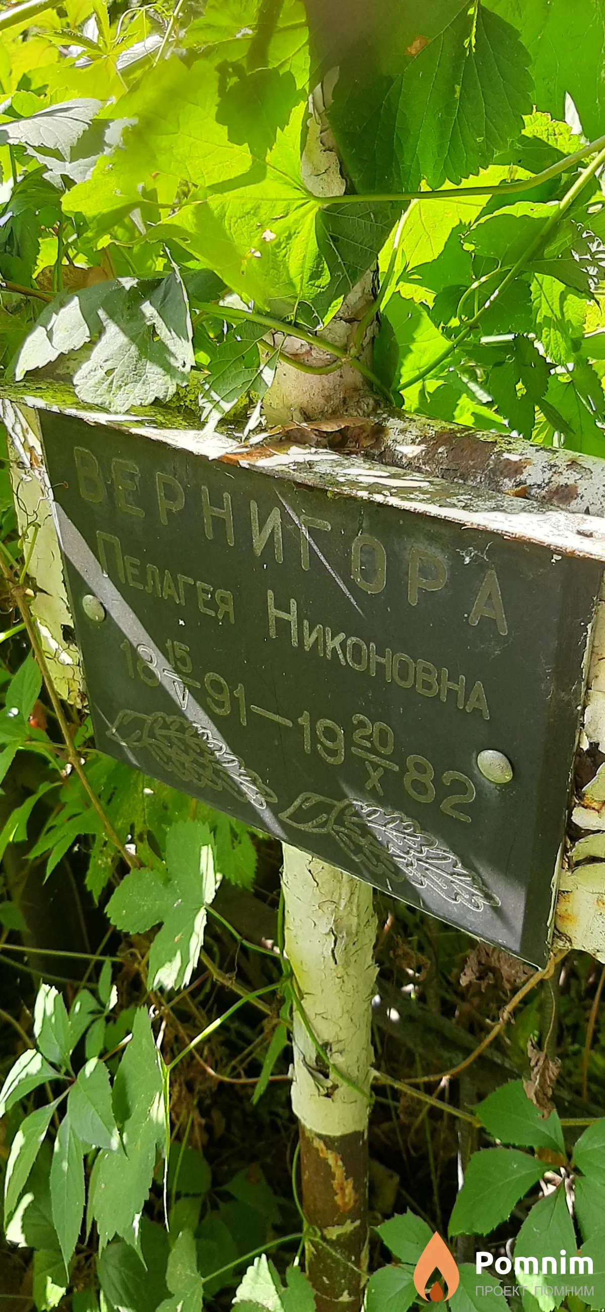 Вернигора Пелагея Никоновна