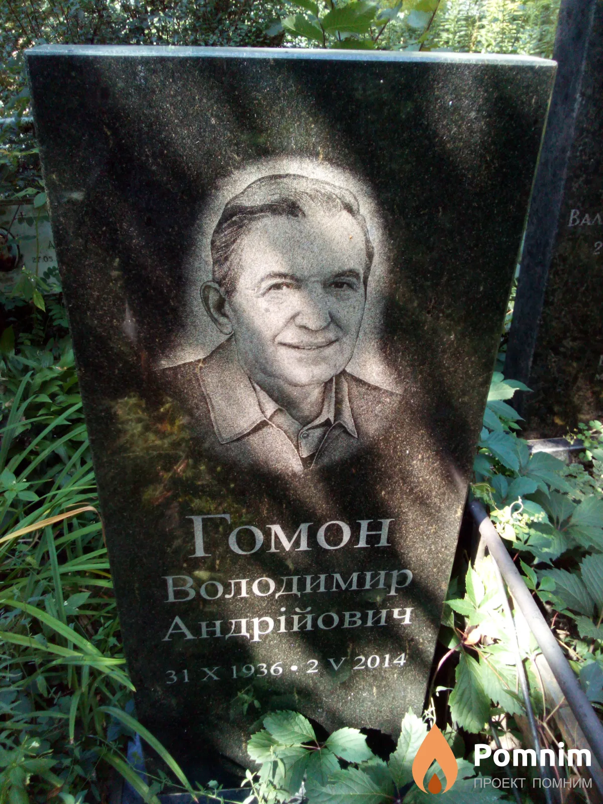 Гомон Володимир Андрійович