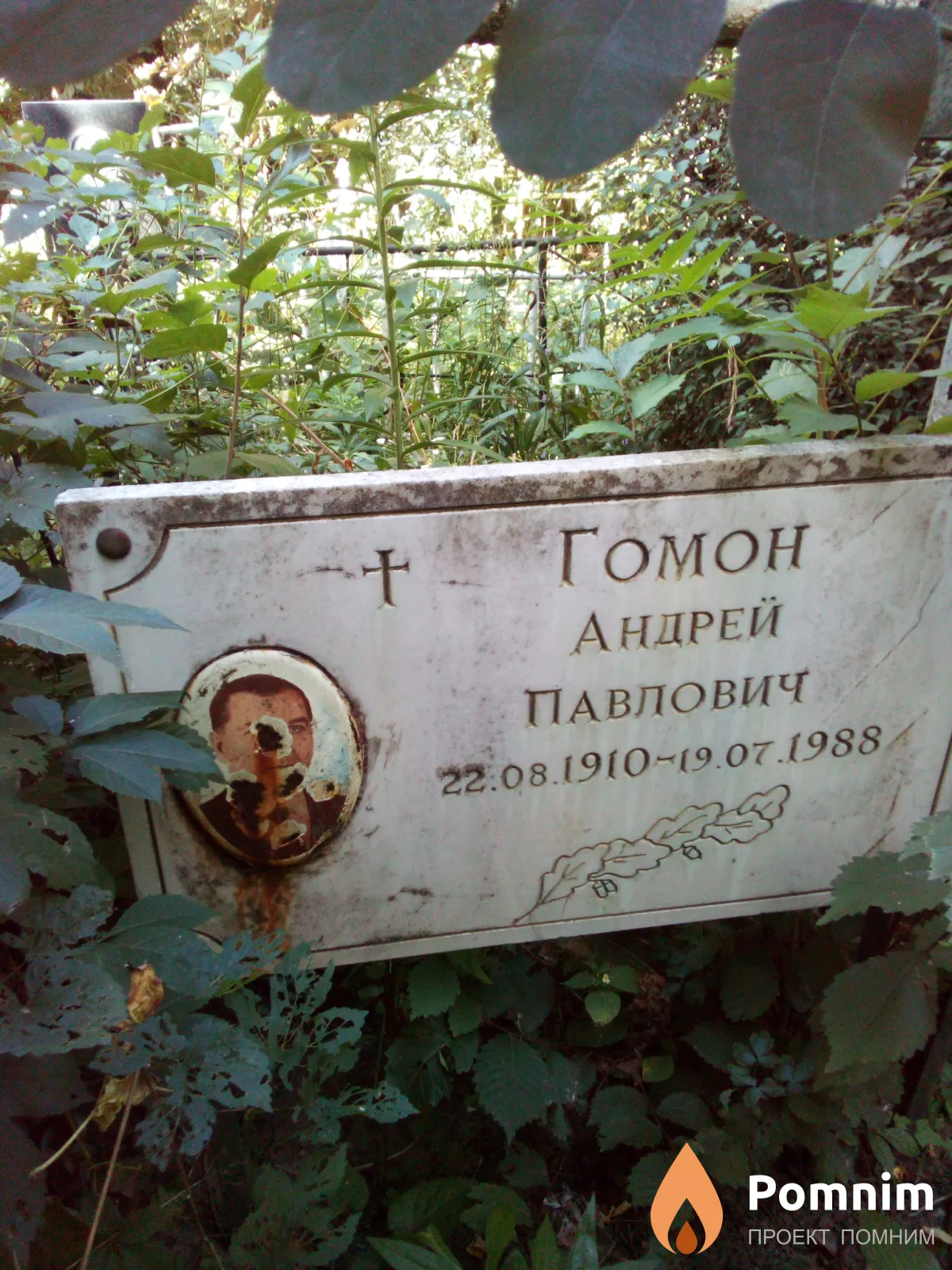 Гомон Андрей Павлович