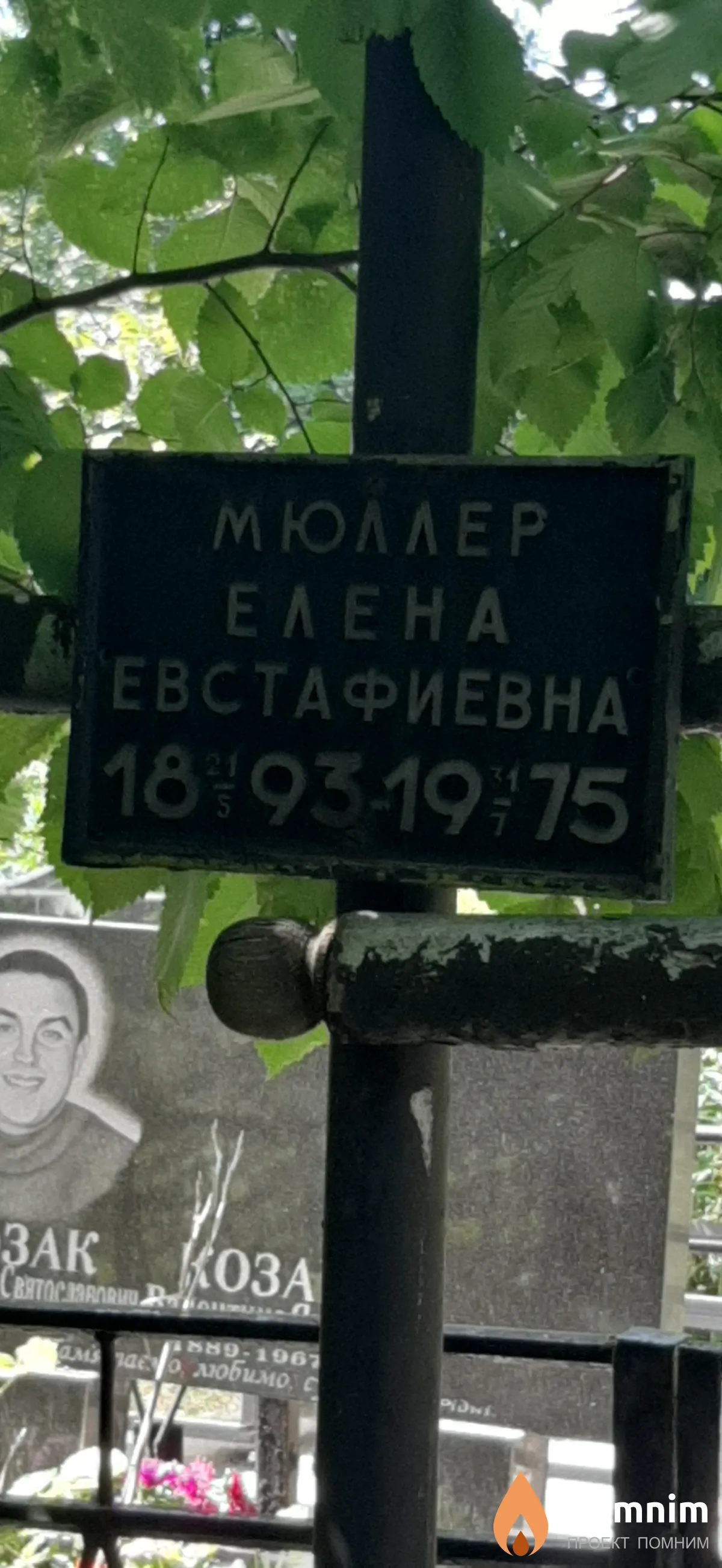 Мюллер Елена Евстафиевна