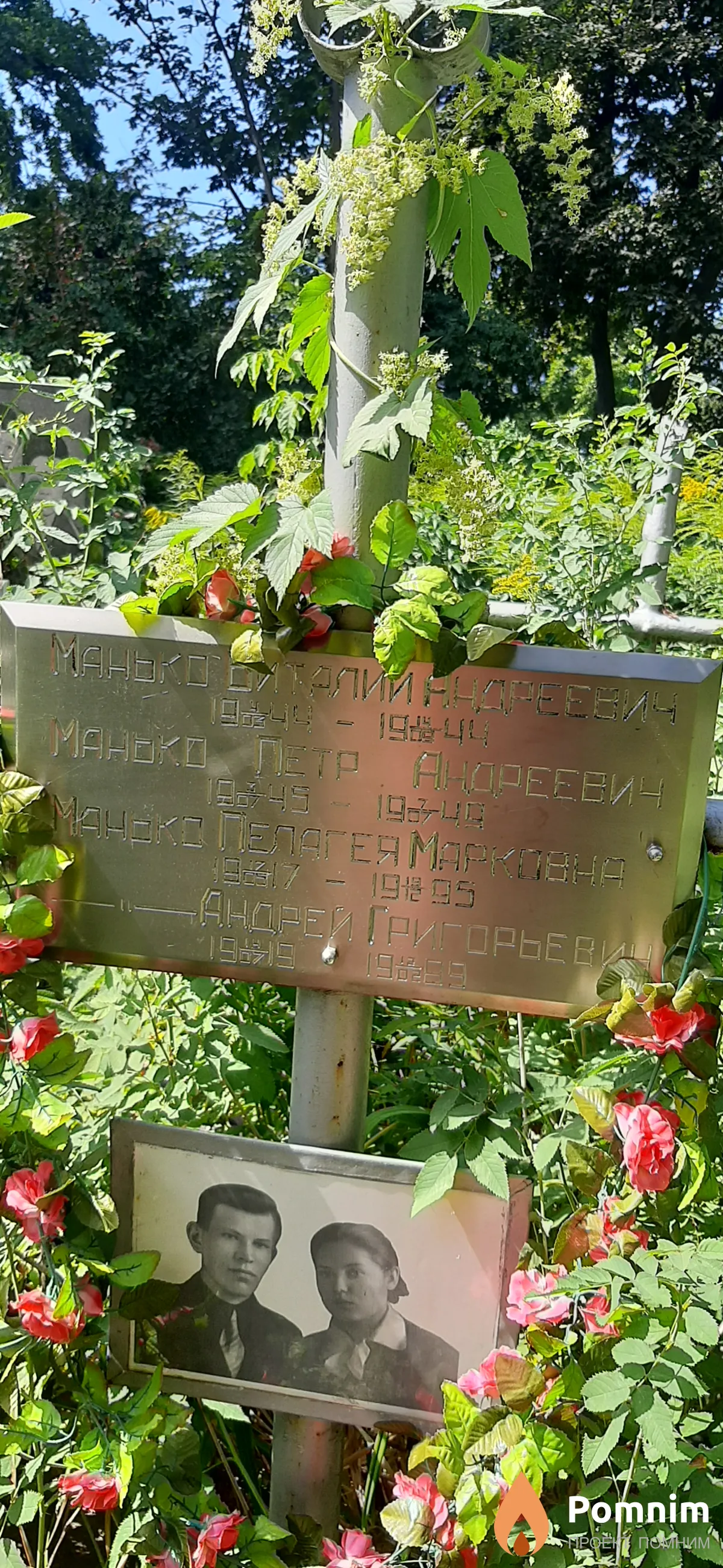 Манько Виталий Андреевич