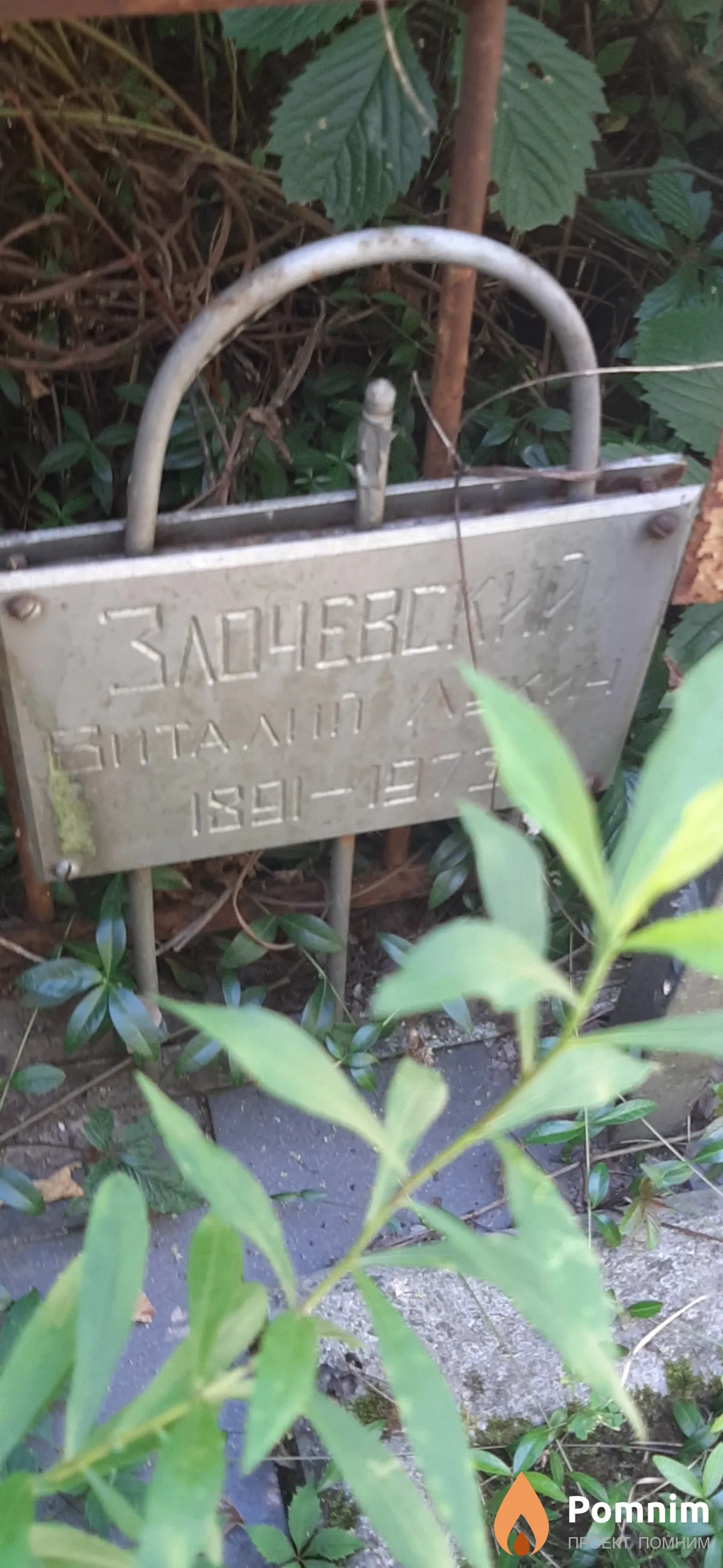 Злочевский Виталий Лукич