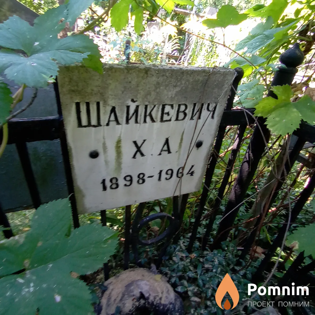 Шайкевич Х А