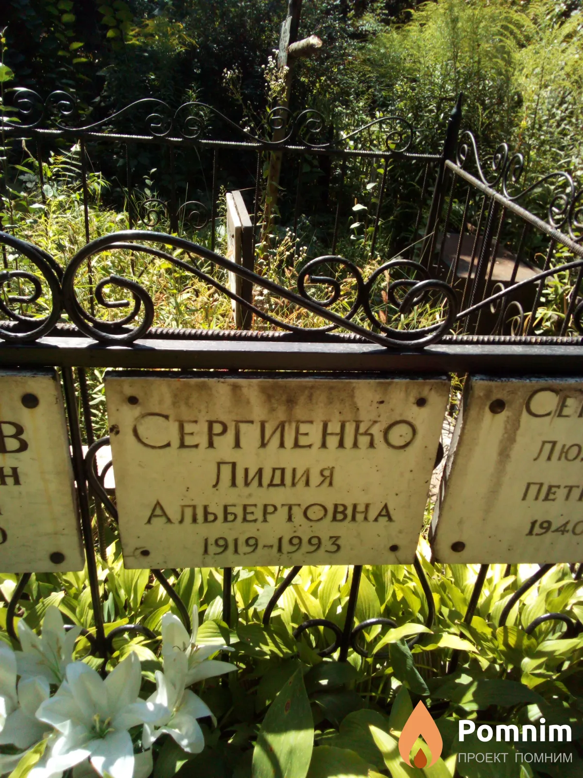Сергиенко Лидия Альбертовна