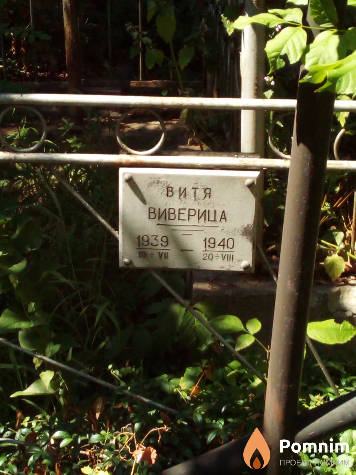 Виверица Витя