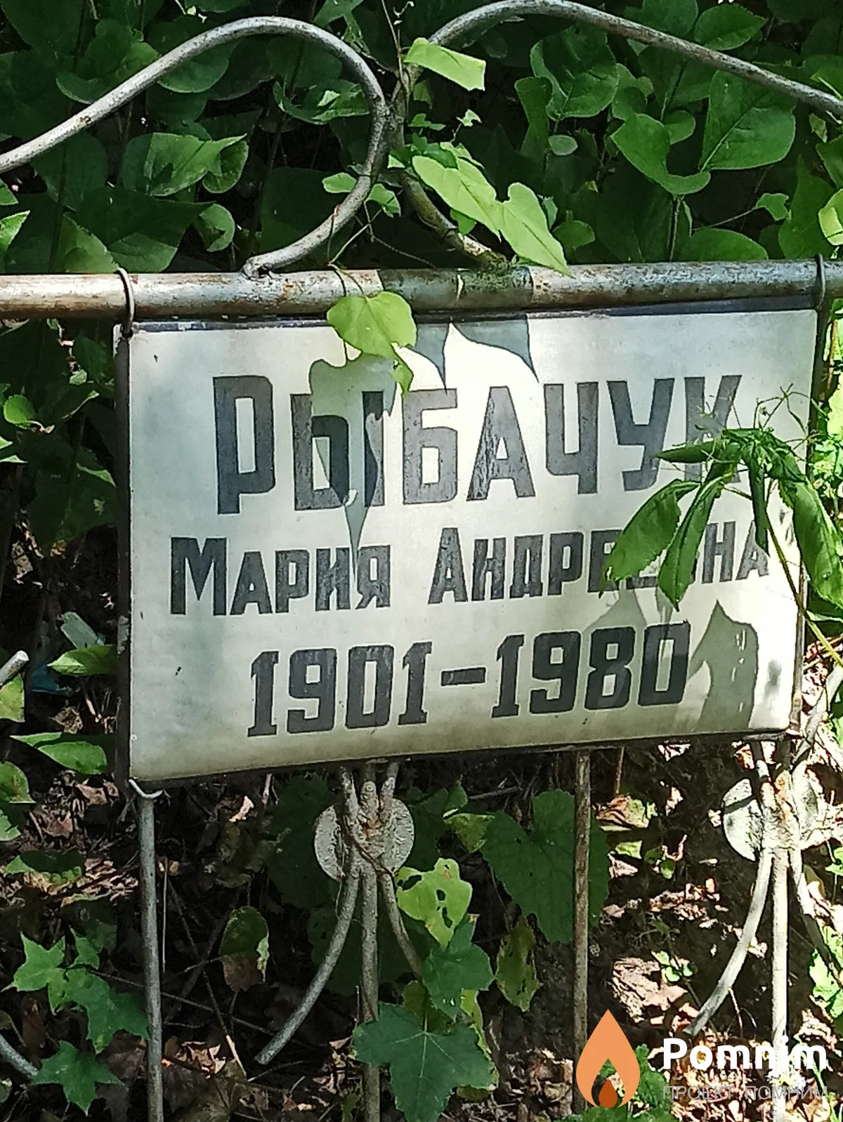 Рыбачук Мария Андреевна