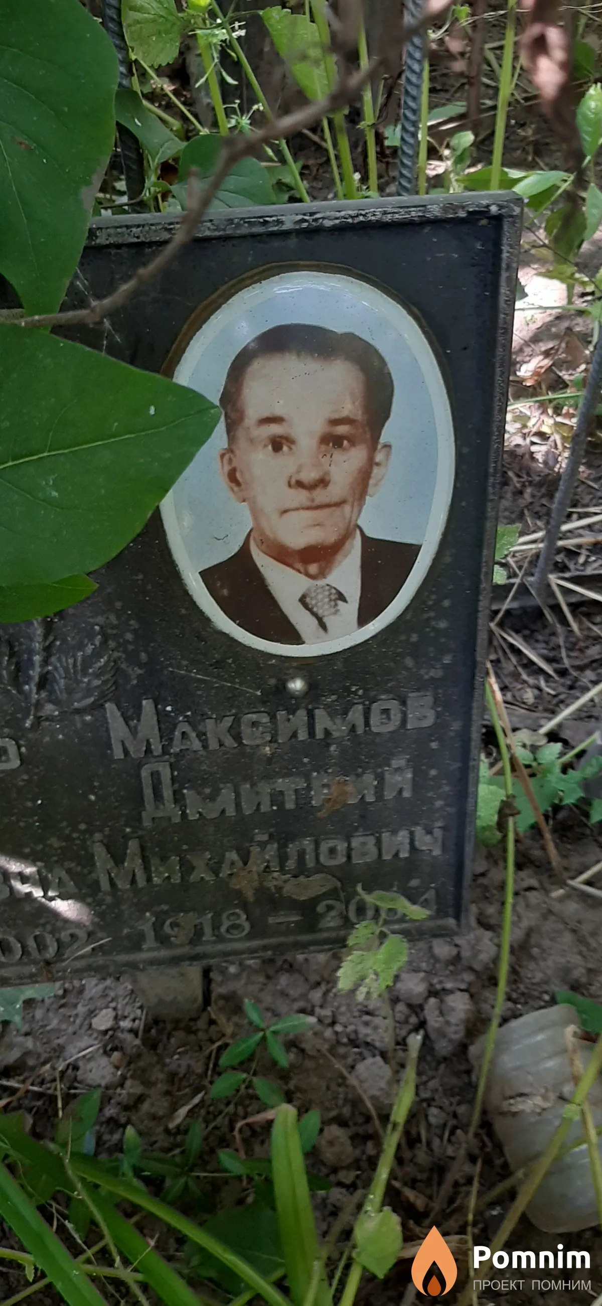 Максимов Дмитрий Михайлович