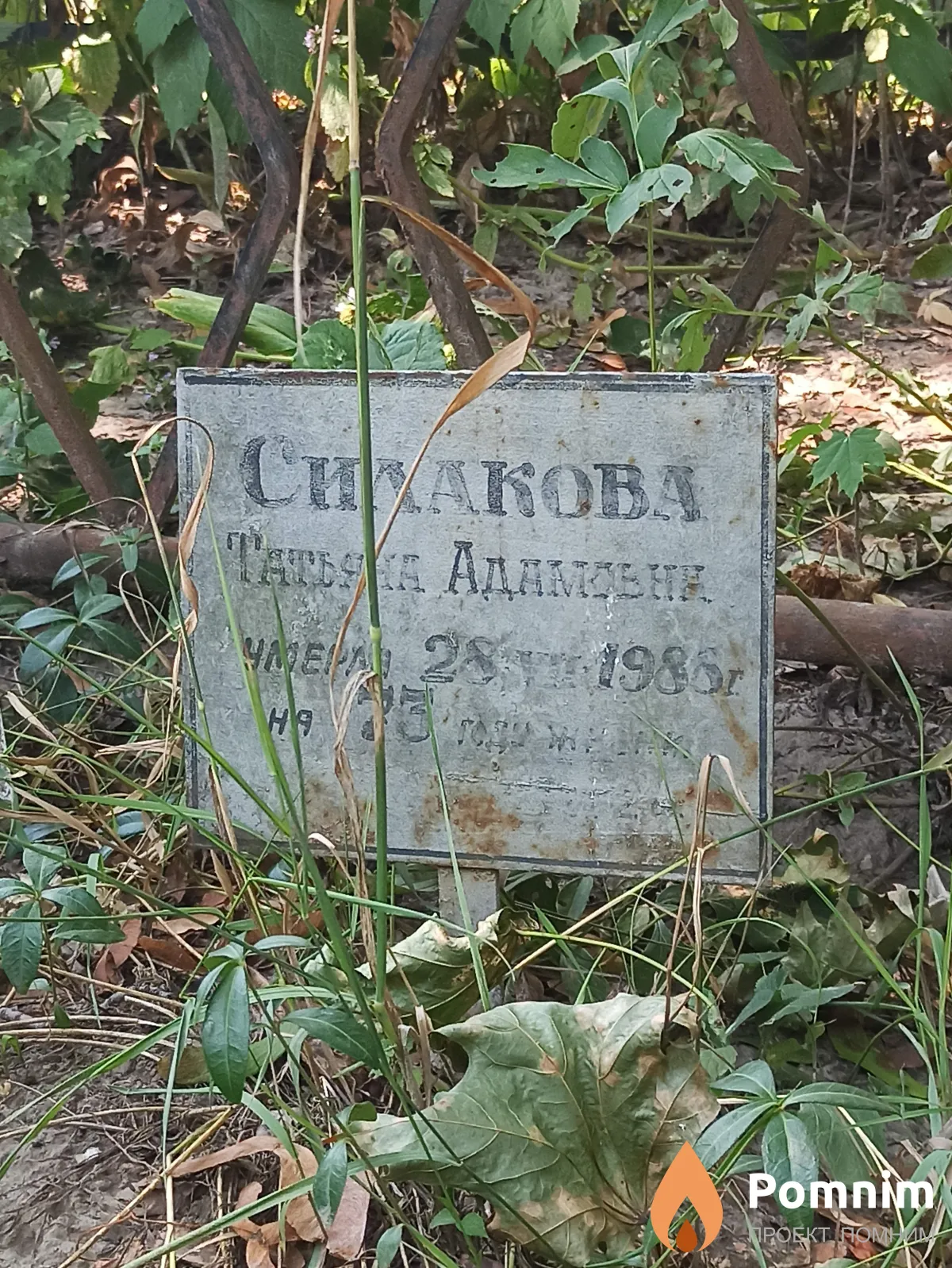 Cилакова Татьяна Адамовна